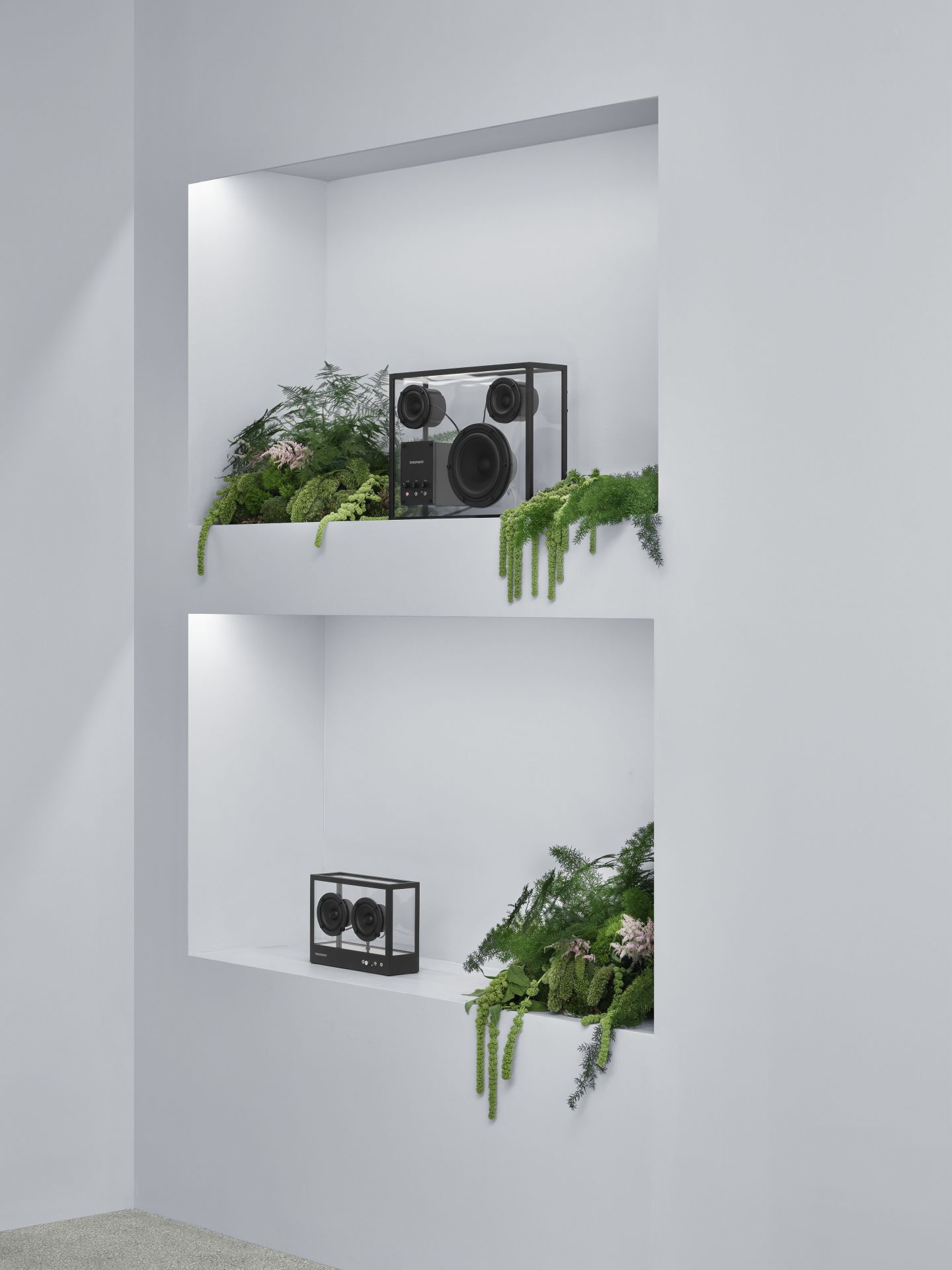 Zwei transparente Lautsprecher in Regalen mit Pflanzen, minimalistisches Design für moderne Audiowiedergabe.
