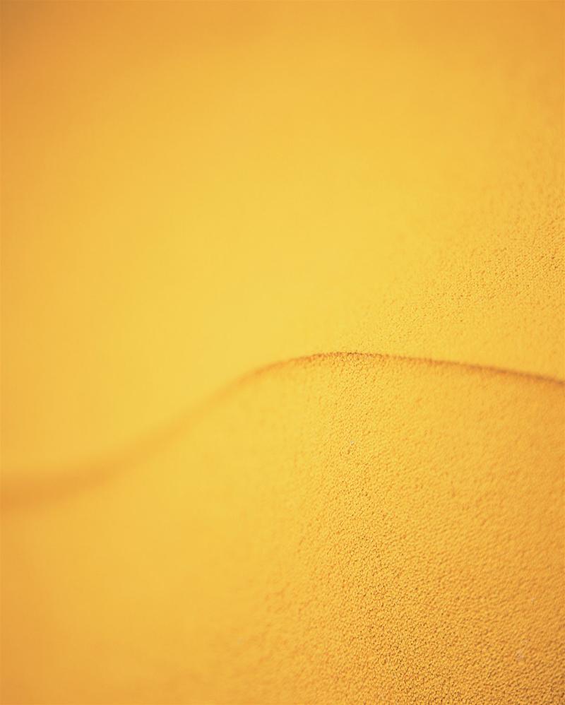 Detailaufnahme der gelben Polsterung eines Bertoia Stuhls von Knoll International, Fokus auf Textur und Farbe.