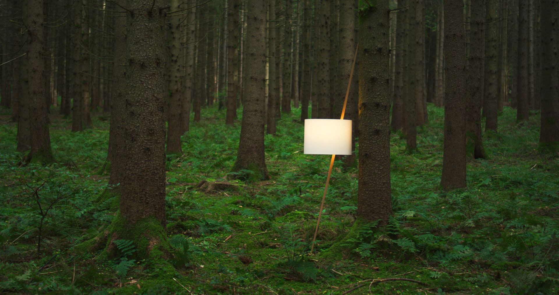 Luca Lean Anlehnleuchte von Maigrau im Wald: Moderne Stehleuchte mit weißem Lampenschirm und Holzgestell.