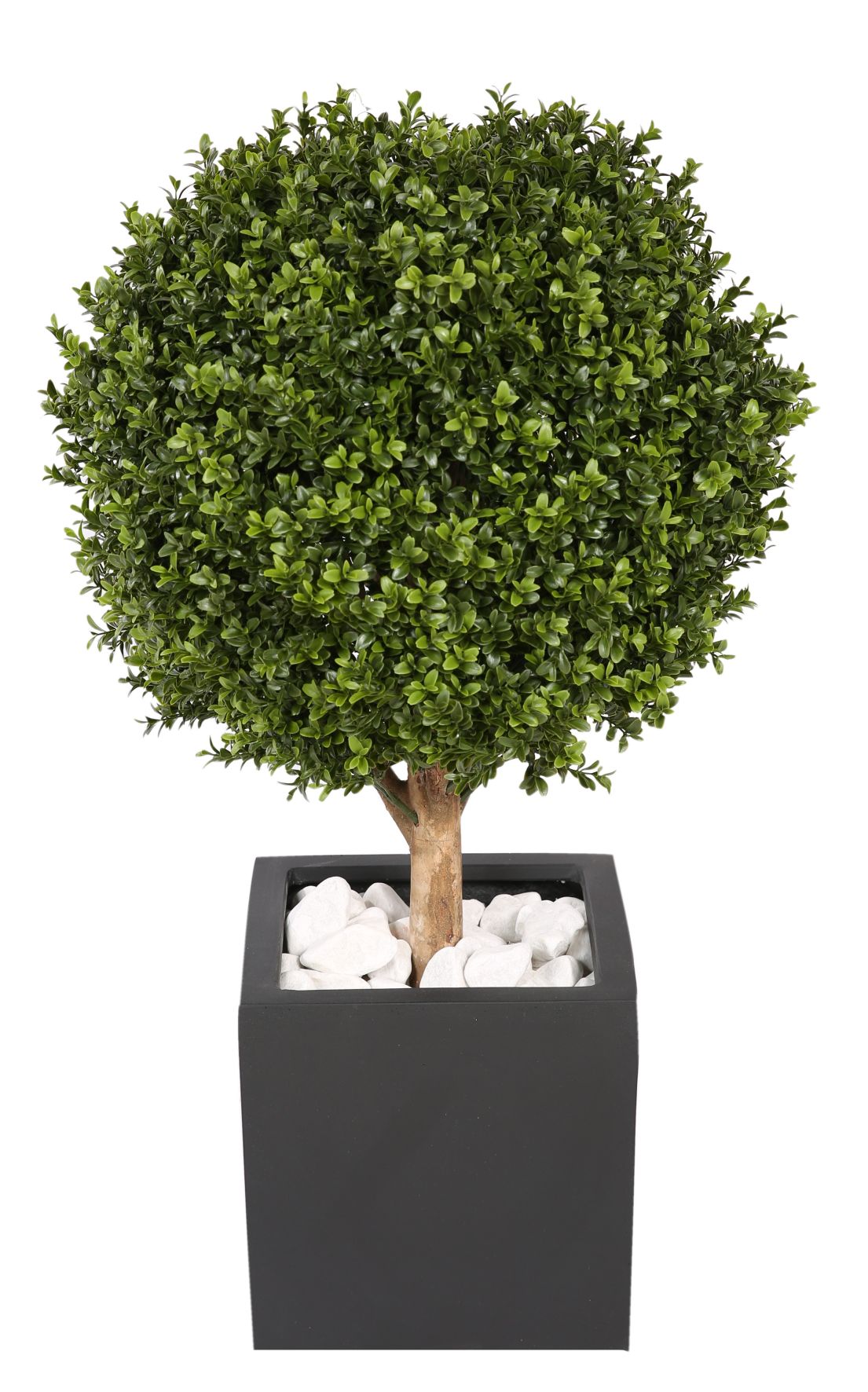 Kyoto Boxwood (buxus) kunstplant Tanaman   