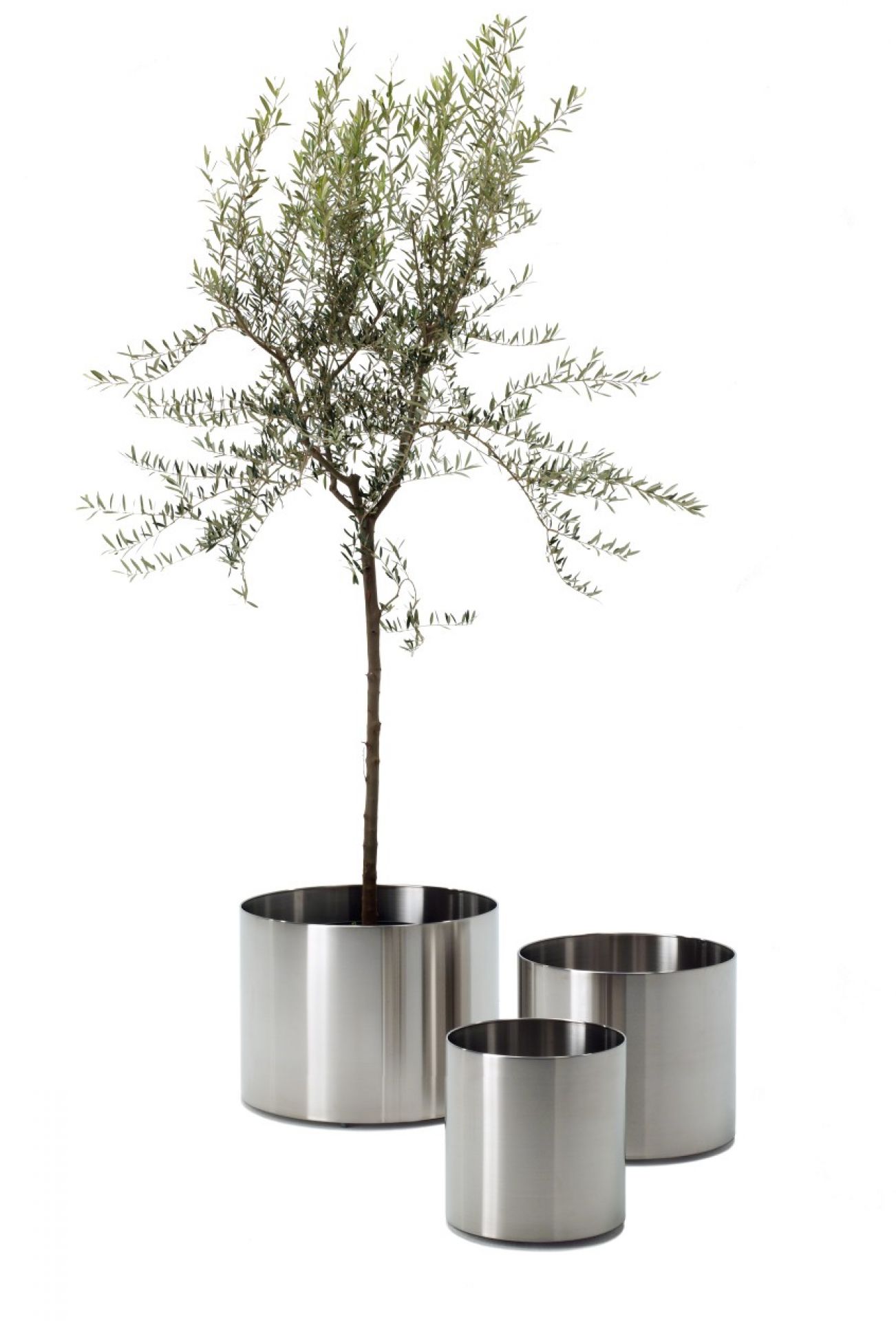 Nox Flora Blumentopf auf Rollen von Rexite, Edelstahl Pflanzgefäß mit Olivenbaum und zwei kleineren Übertöpfen.