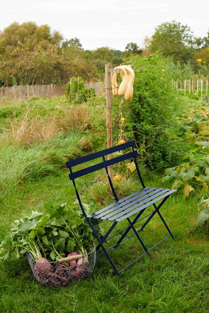 Fermob Bistro Klappstuhl in Dunkelblau im Garten, neben einem Korb mit frisch geerntetem Gemüse.