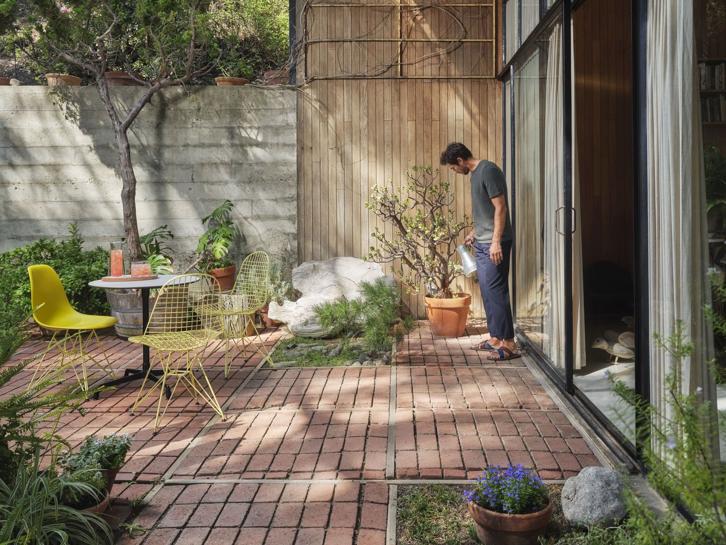 Gelbe Eames DSR Stühle mit Sitzpolster von Vitra im Garten, Mann gießt Pflanze.