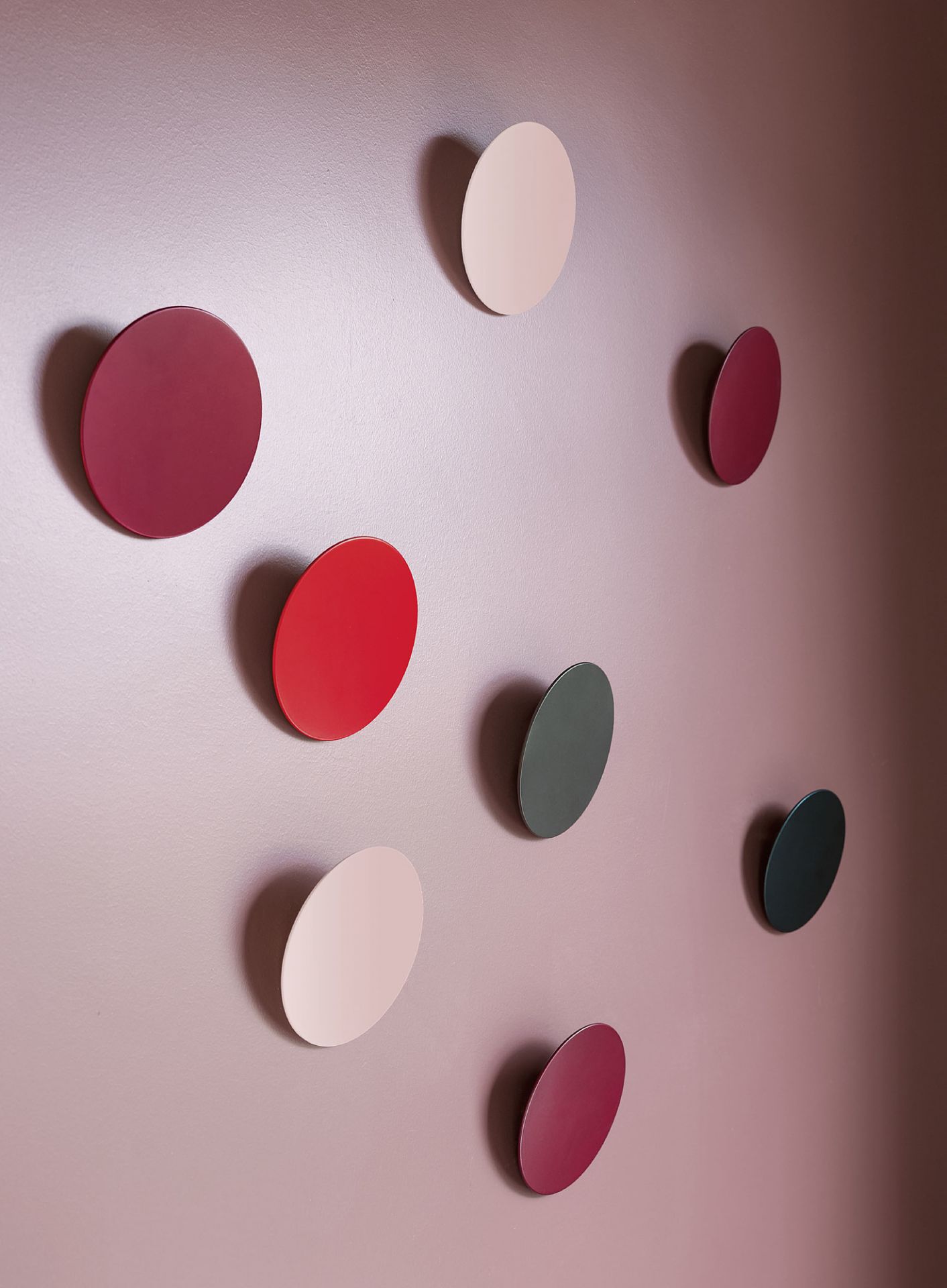 Mehrere Schönbuch Disk Wandhaken in verschiedenen Farben an einer rosa Wand.