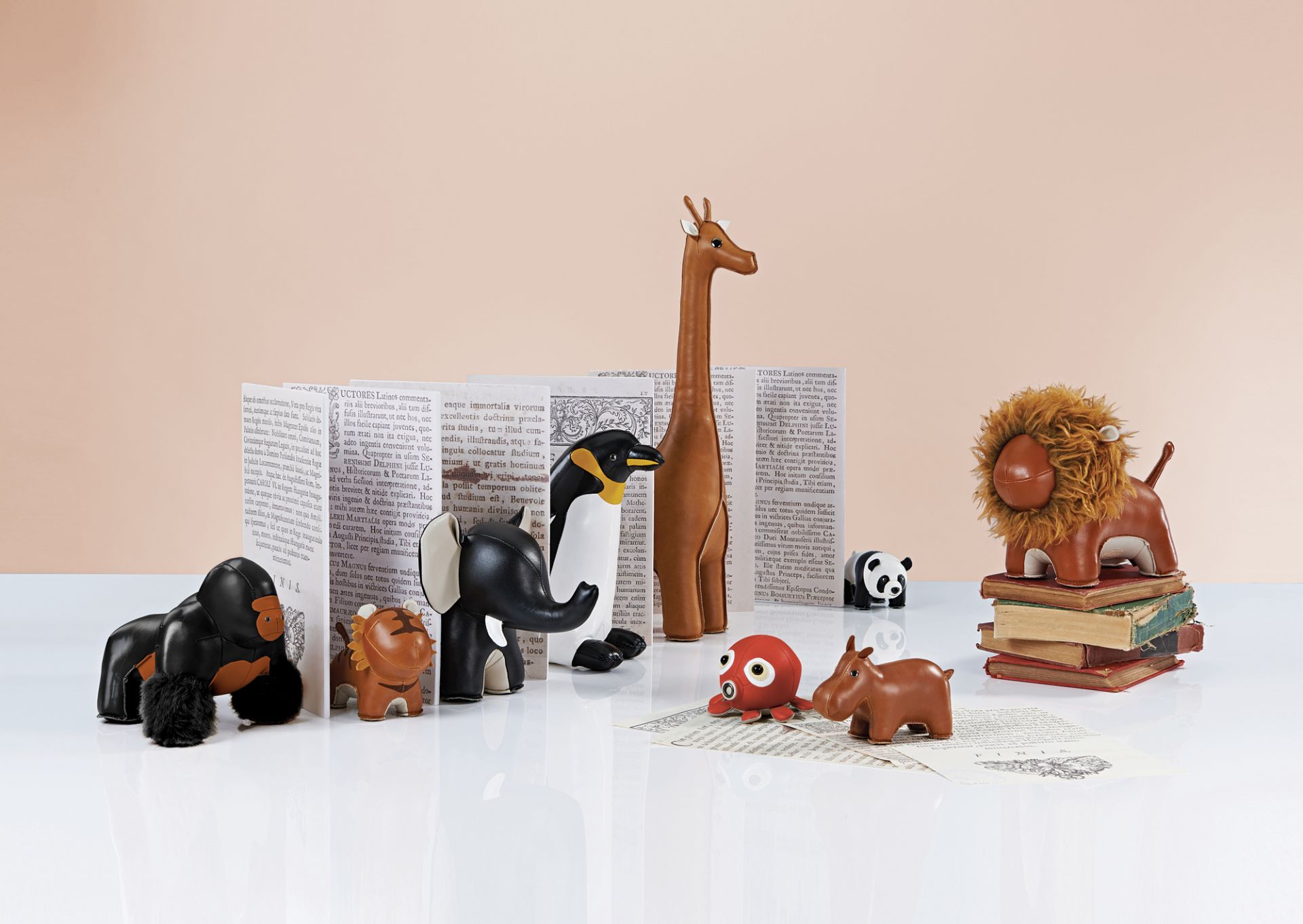 Detailaufnahme: Züny Buchstütze Löwe Lino Tan/Weiß, ein dekoratives Accessoire für Bücherregale und Schreibtische. Tierische Buchstütze als Hingucker.