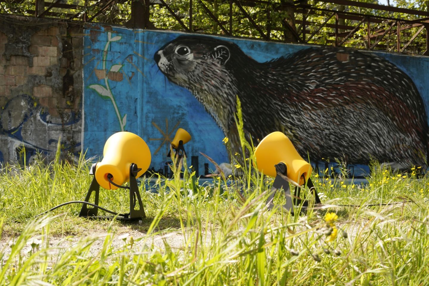 Gelbe Martinelli Luce Mini Frog Außenleuchten im Gras vor einer Graffiti-Wand mit Murmeltier.