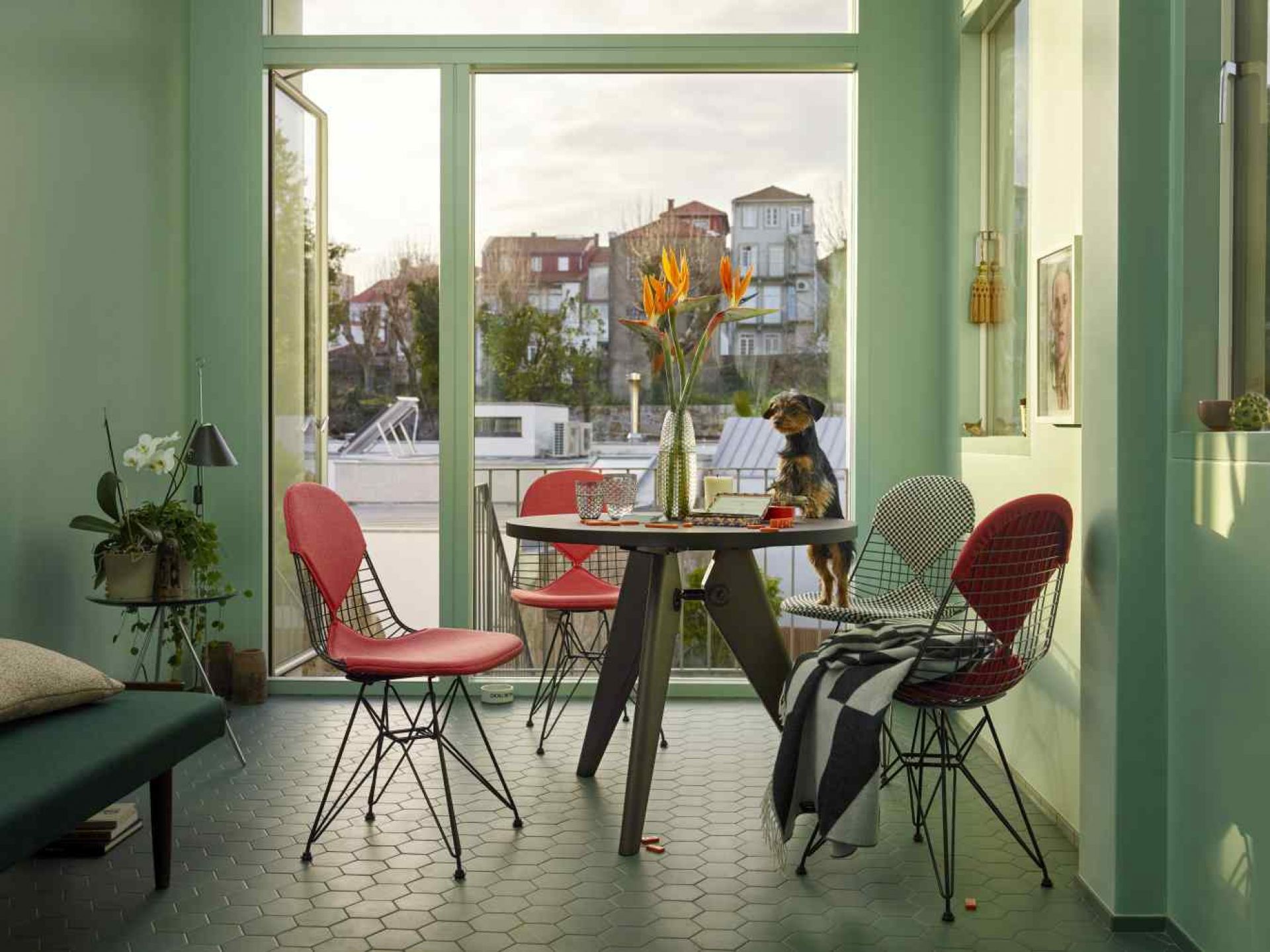 Vitra Gueridon Tisch mit Stühlen in modernem Wohnraum, ein Hund sitzt auf einem Stuhl.