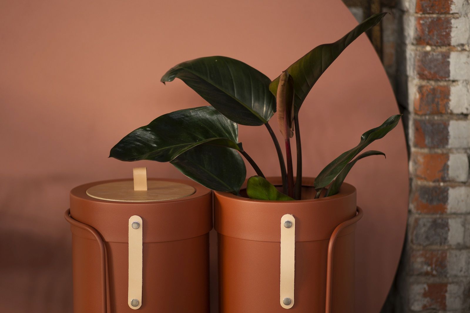 Bin There Mülleimer: Braune Abfallbehälter für Mülltrennung, einer mit Pflanze, minimalistisches Design.