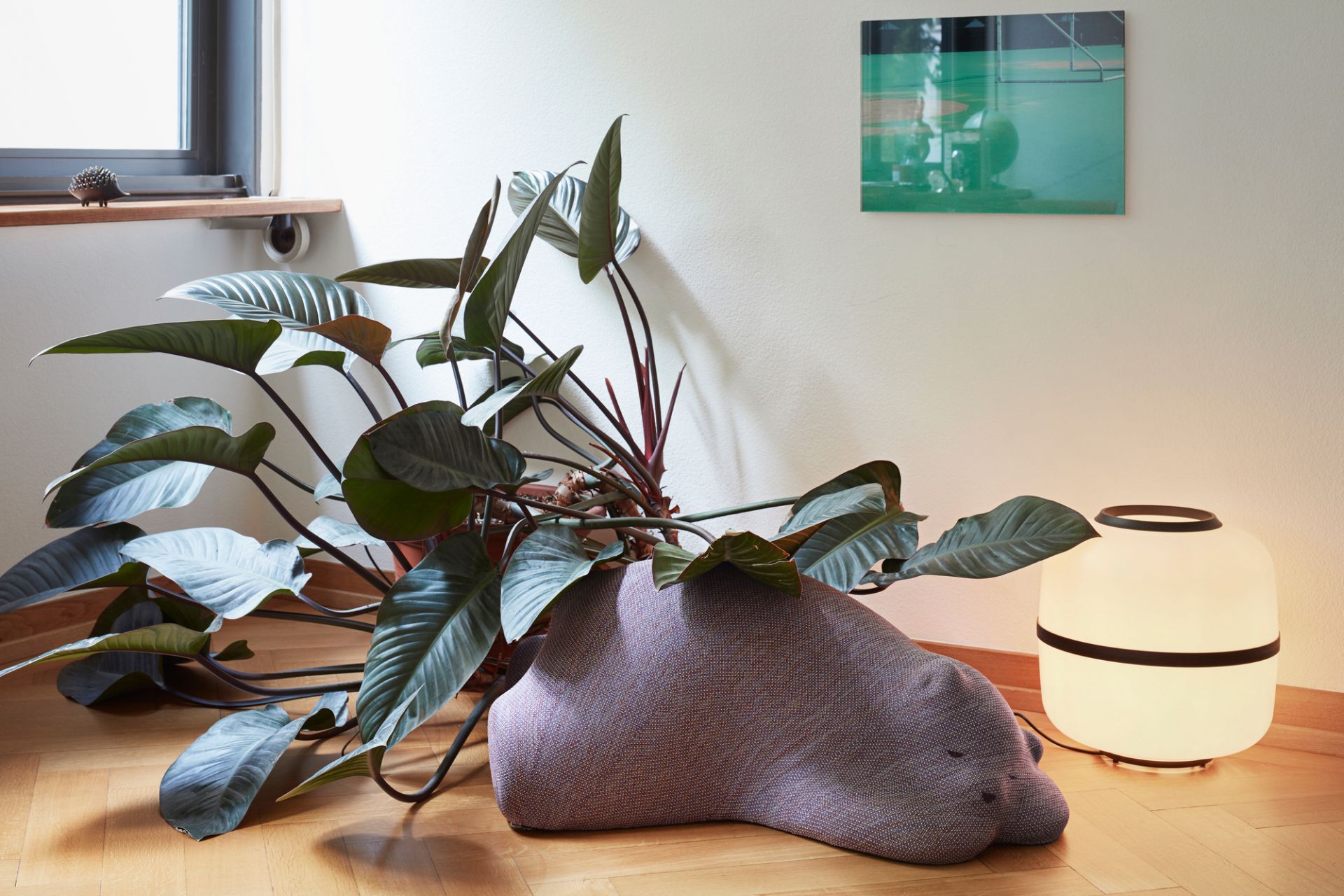 Brauner Resting Bear von Vitra als Bodenkissen, dekoriert mit einer großen Zimmerpflanze.