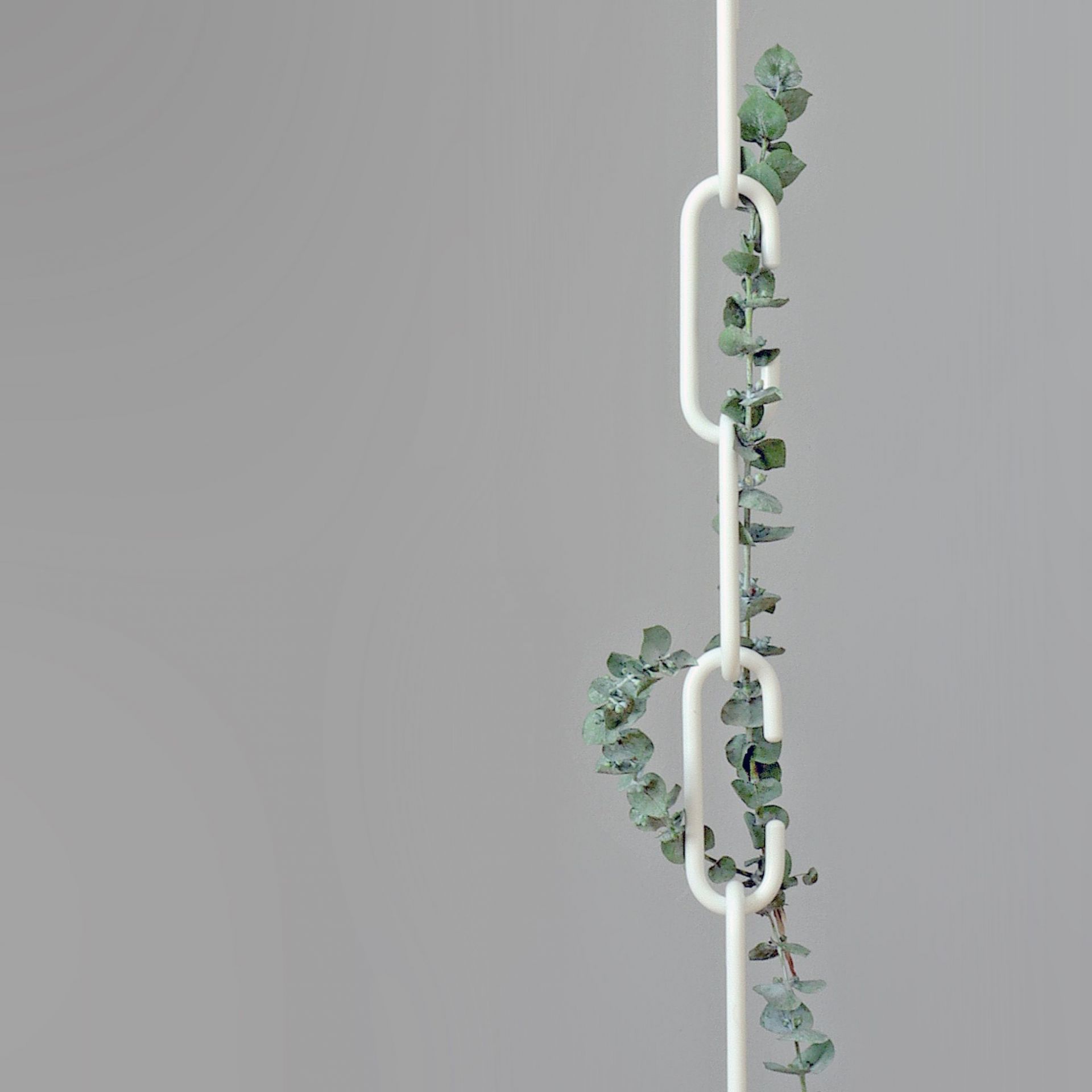 Weißer C+C Haken von Roomsafari mit Eukalyptus-Girlande, moderne Wanddekoration und Garderobenhaken.