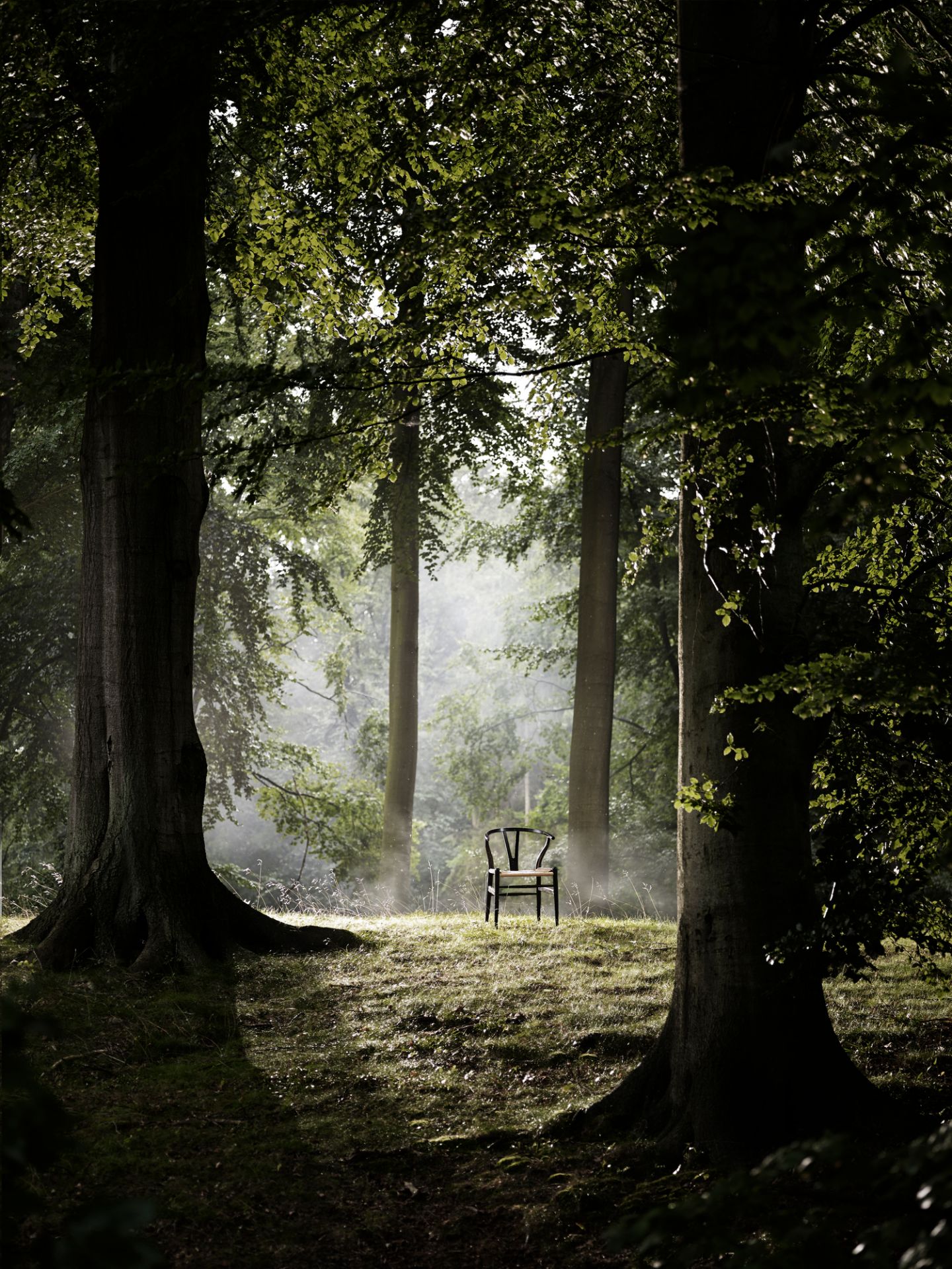 CH24 Wishbone Chair / Y-Chair stoel van Carl Hansen & Søn