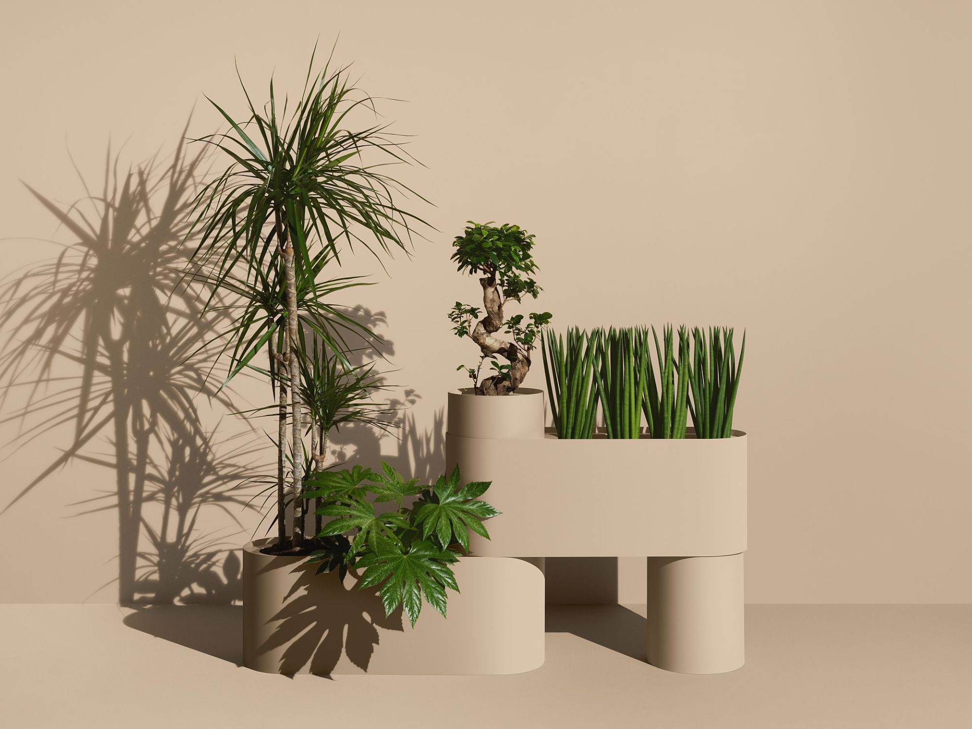 Plant Here Pflanzenbox mit verschiedenen Pflanzen in modernem Design Blumentopf.
