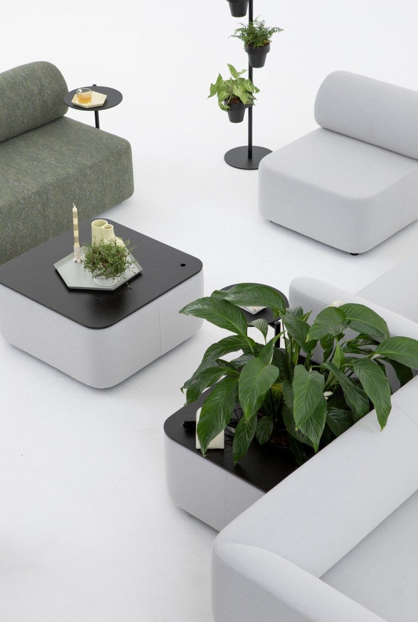 Mezza Table Couchtisch von Cascando mit Pflanzen und Dekoration in einem modernen Büro oder Wohnzimmer.