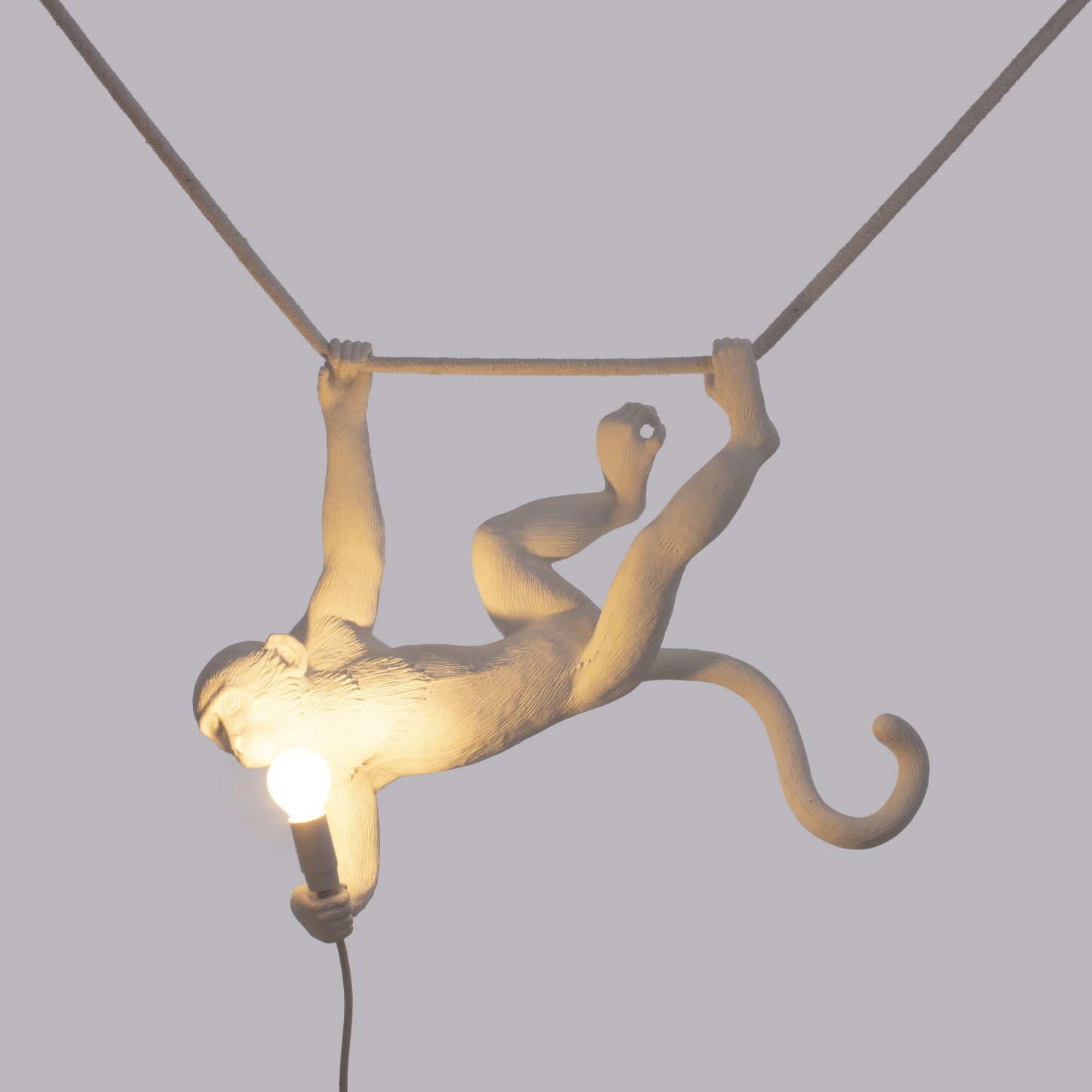 Monkey Lamp Swing hanglamp van Seletti