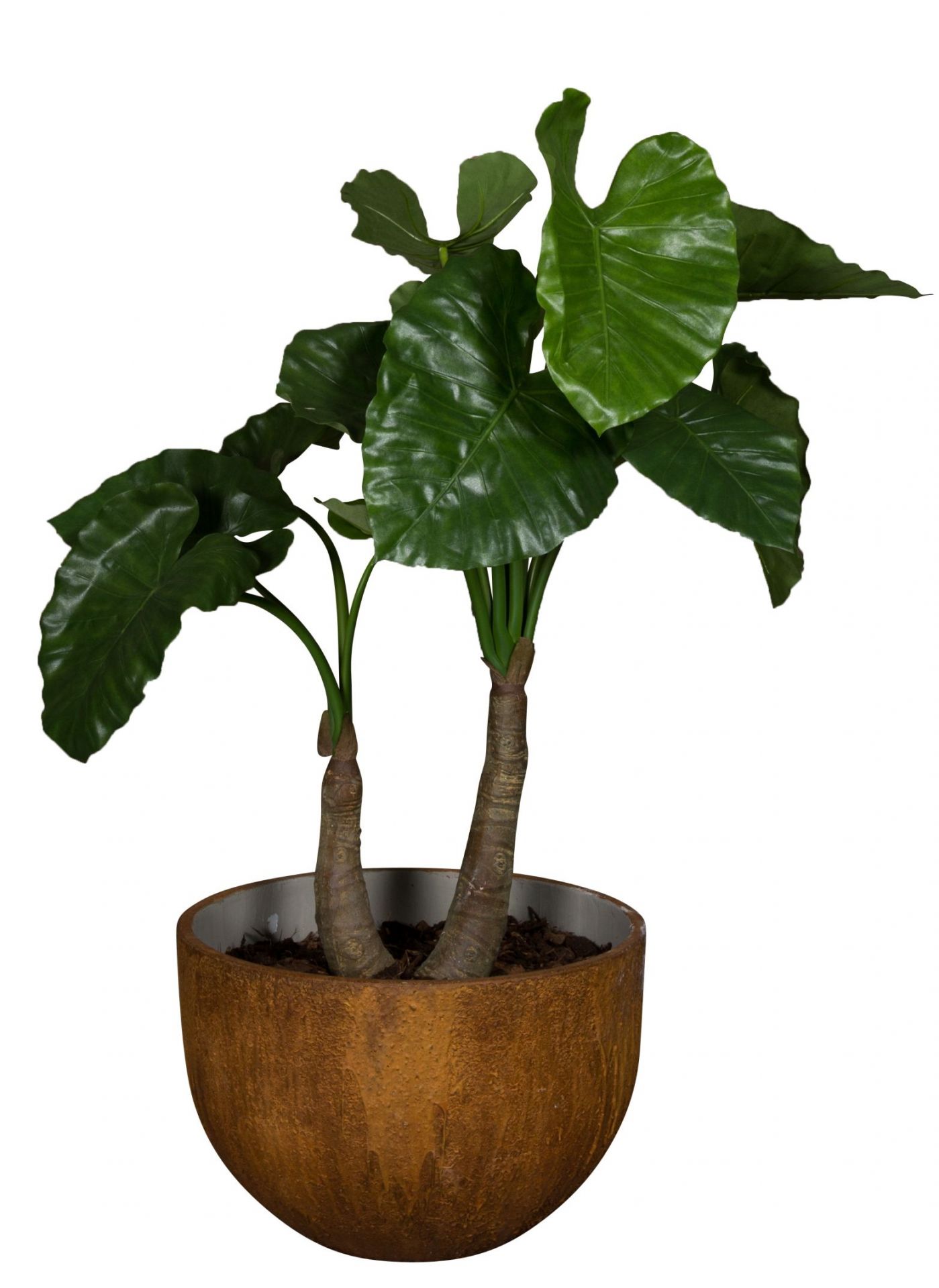 Medewi Alocasia 120 (Acacia) Kunstplant Tanaman    