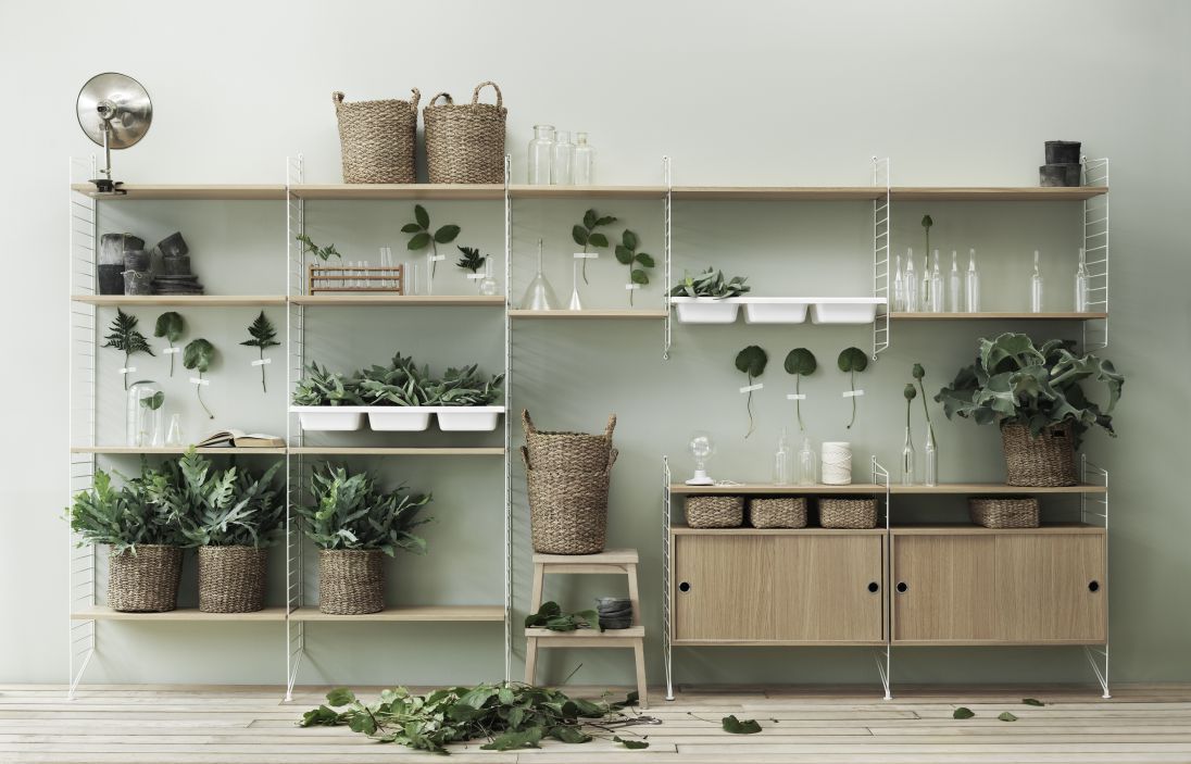 Detailaufnahme eines String Regalsystems mit Bodenleitern, Regalböden und Pflanzen.