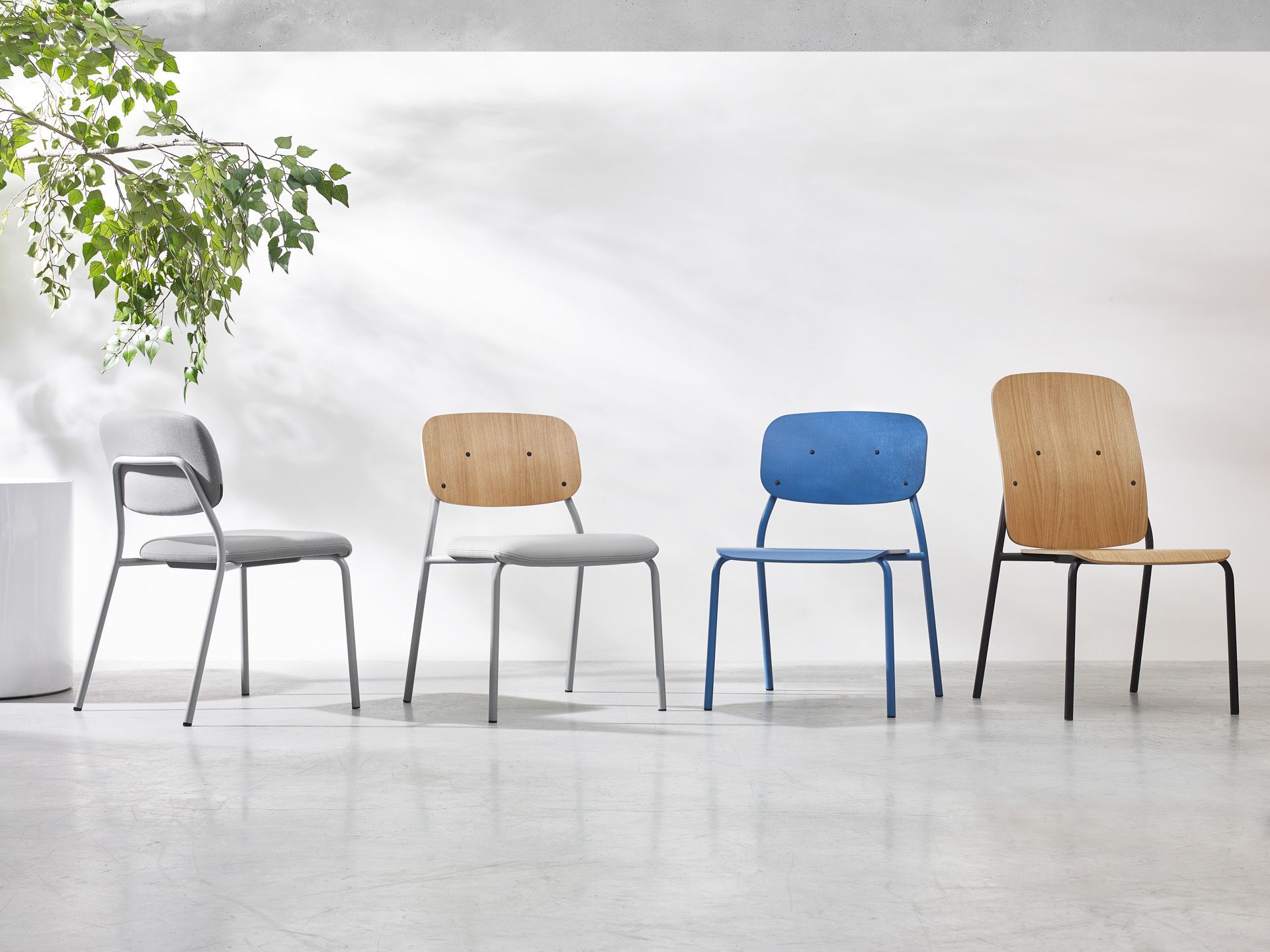 hens HS 215 Stühle von Bejot, verschiedene Farben und Ausführungen, ideal als Konferenzstühle oder Besucherstühle.
