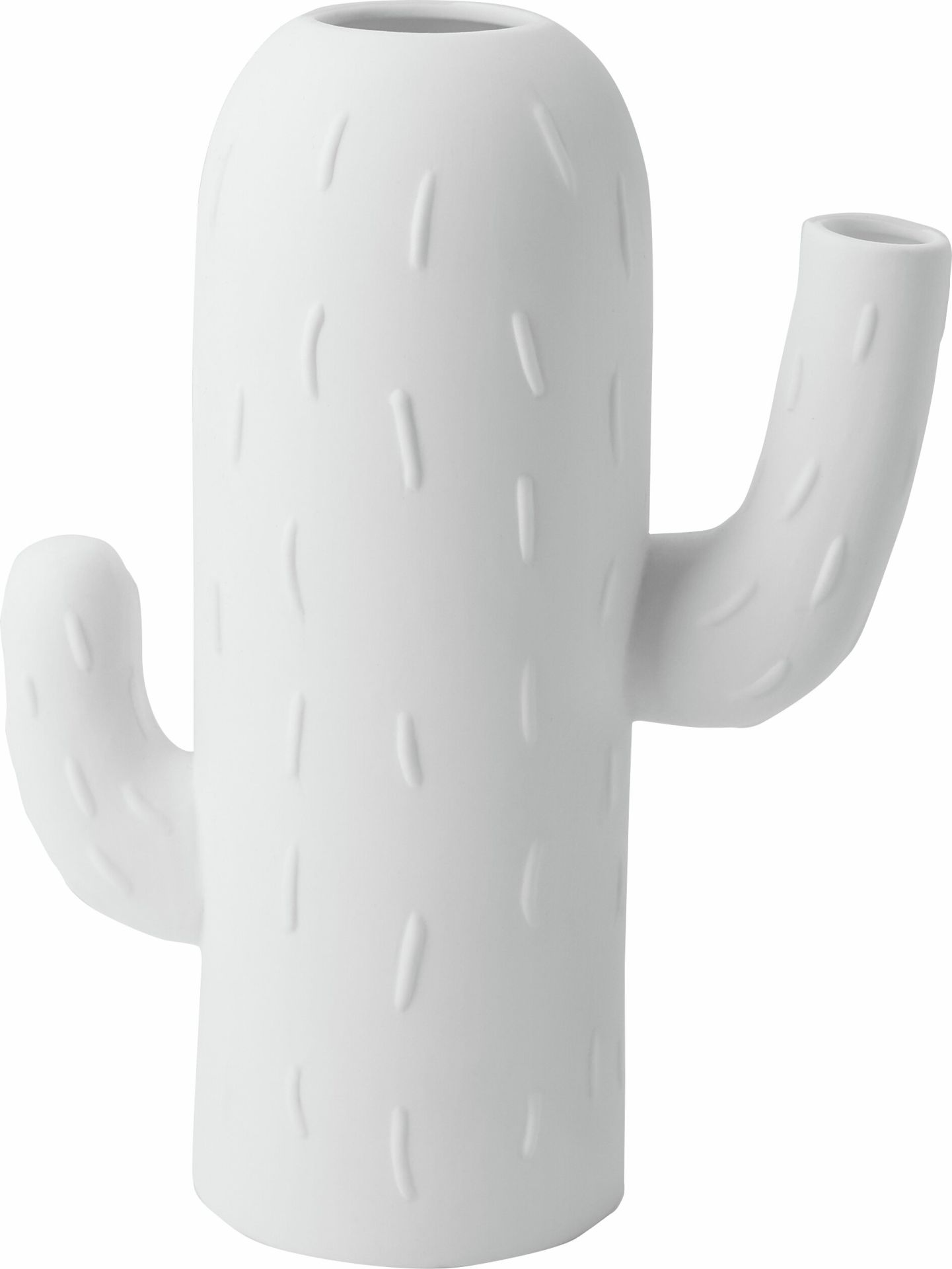 Cactusvaas met zuilcactus en Räder