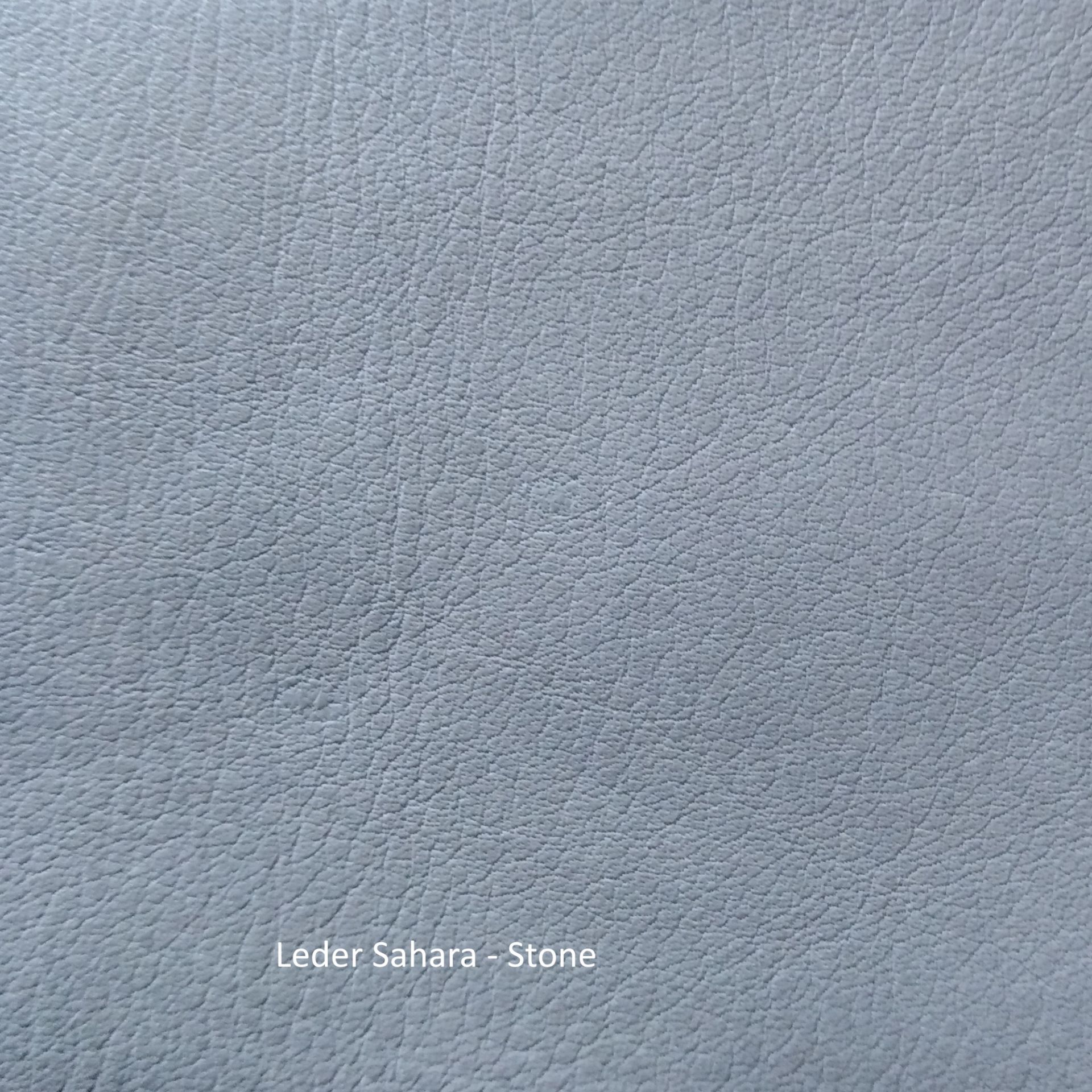 Nahaufnahme der Ledermusterkarte Sahara von Freifrau Manufaktur in hellgrauer Farbe. Hochwertiges Möbelleder.
