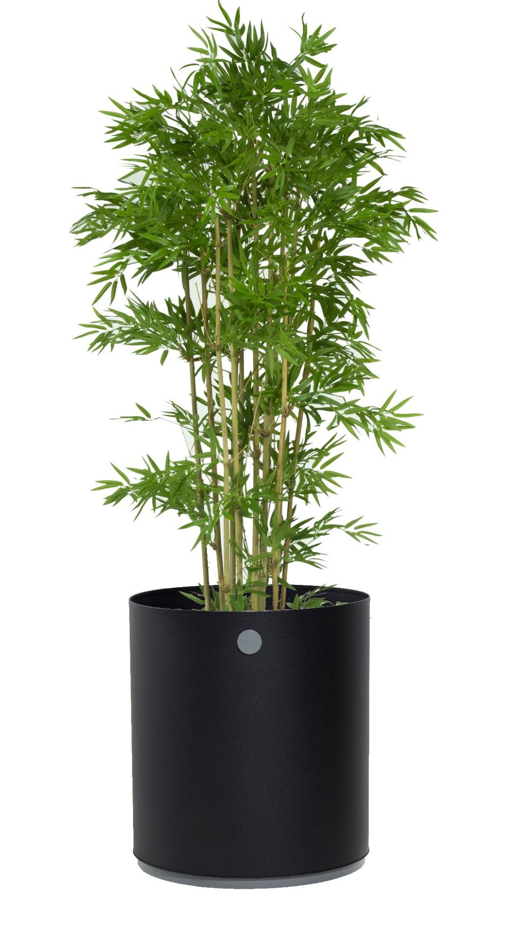 Grow Planter plantenbak Medium Outdoor Cane-Line