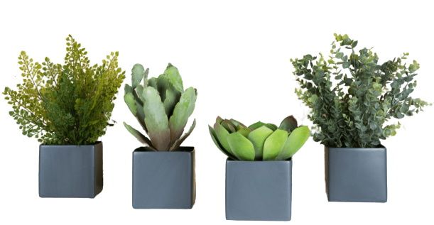 Phoenix-vetplanten, vierdelige set vierkante potten, Grau (vierkante potten) Kunstplant Tanaman 