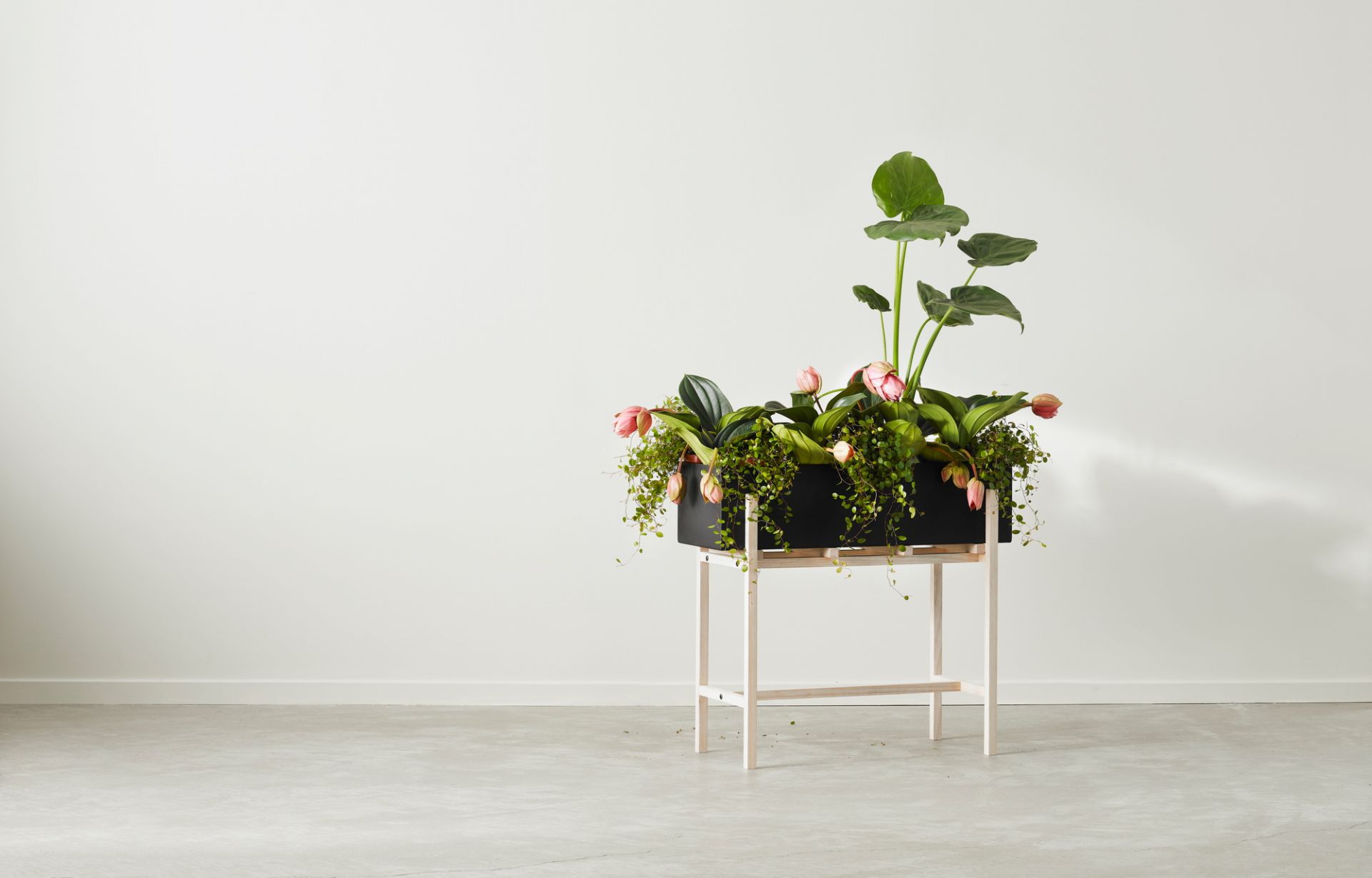 Botanic Flower Stand Blumenkasten Groß von Design House Stockholm mit Pflanzen und rosa Tulpen.