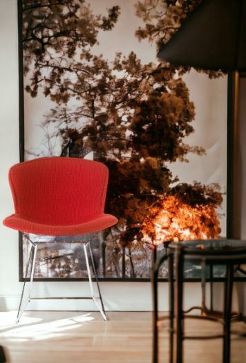 Roter Bertoia Stuhl von Knoll International mit verchromtem Gestell vor großem Baum-Wandbild.