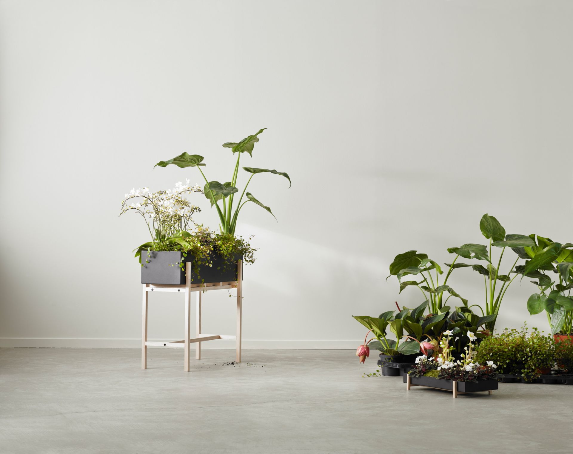 Botanic Flower Stand Blumenkasten von Design House Stockholm mit Pflanzen und Blumen in modernem Interieur.