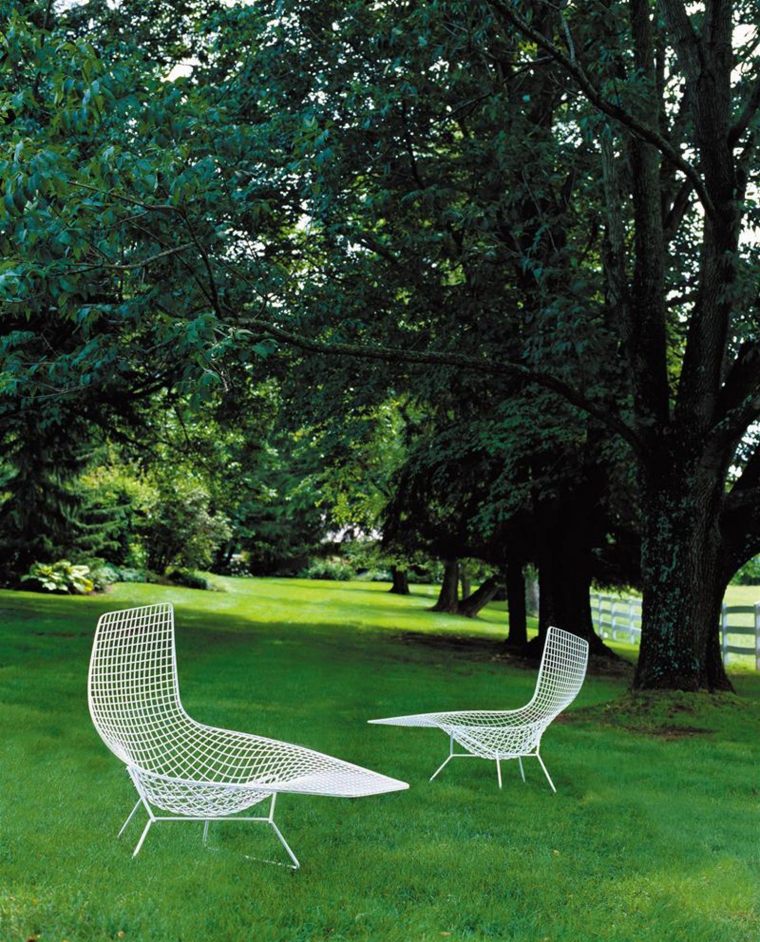 Weißer Bertoia Liegesessel von Knoll International für den Außenbereich auf einer grünen Wiese.