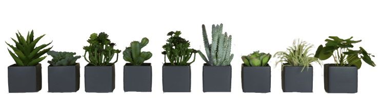 Phoenix Mini-kubuspotten voor vetplanten, set van 9, Grau, kunstplant Tanaman   
