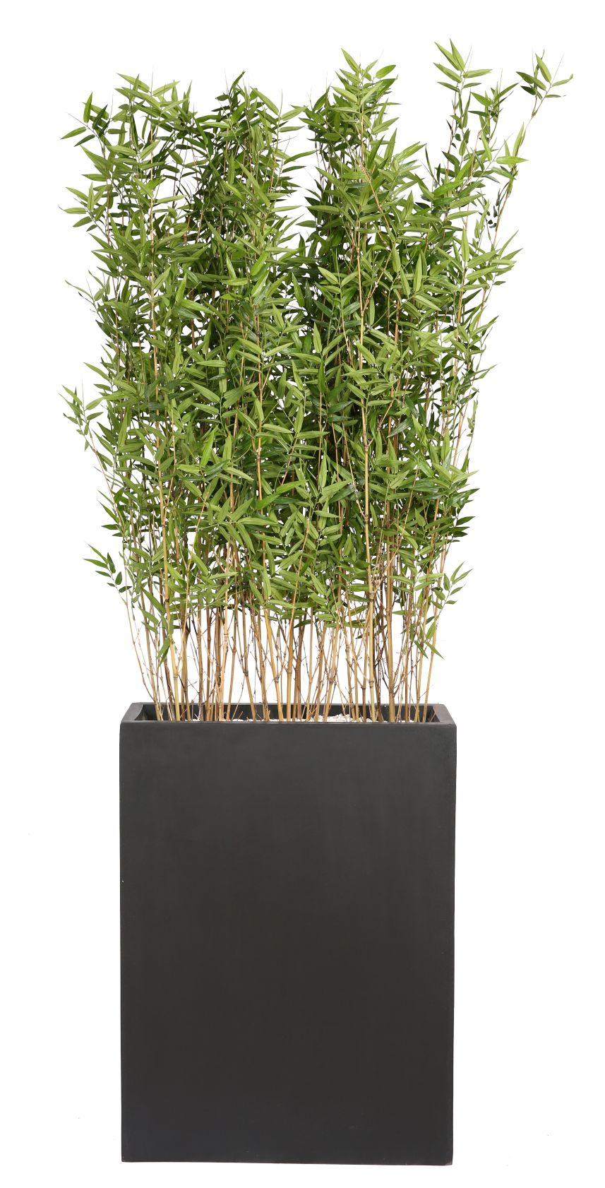 Kyoto Bamboos kunstplant Tanaman