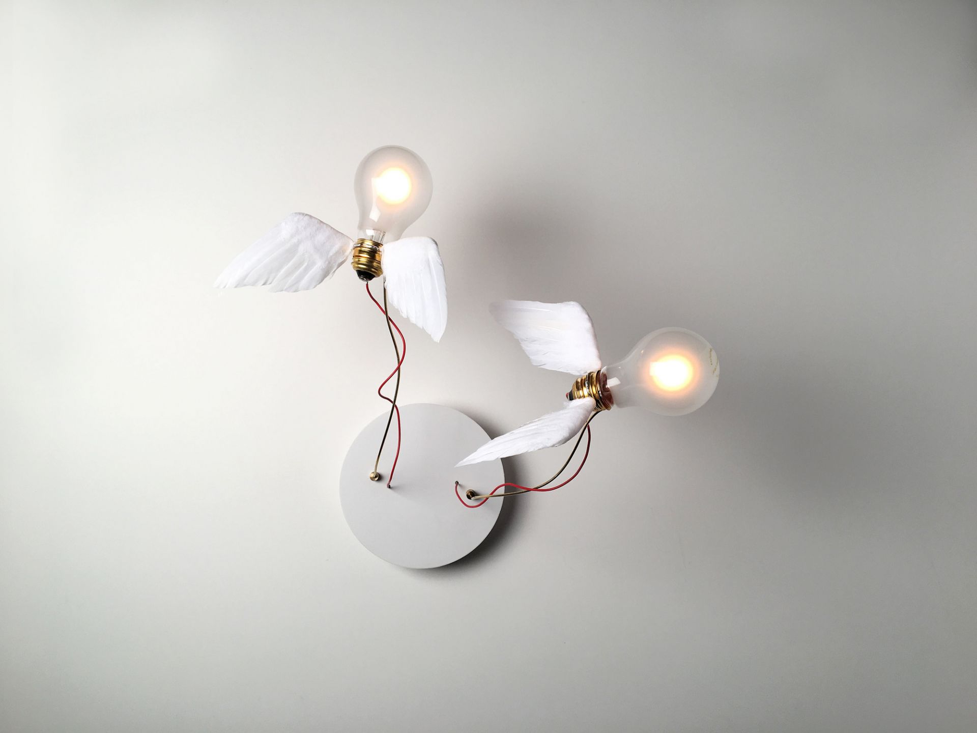 Lucellino LED Wandleuchte von Ingo Maurer mit zwei leuchtenden Glühbirnen und Flügeln.