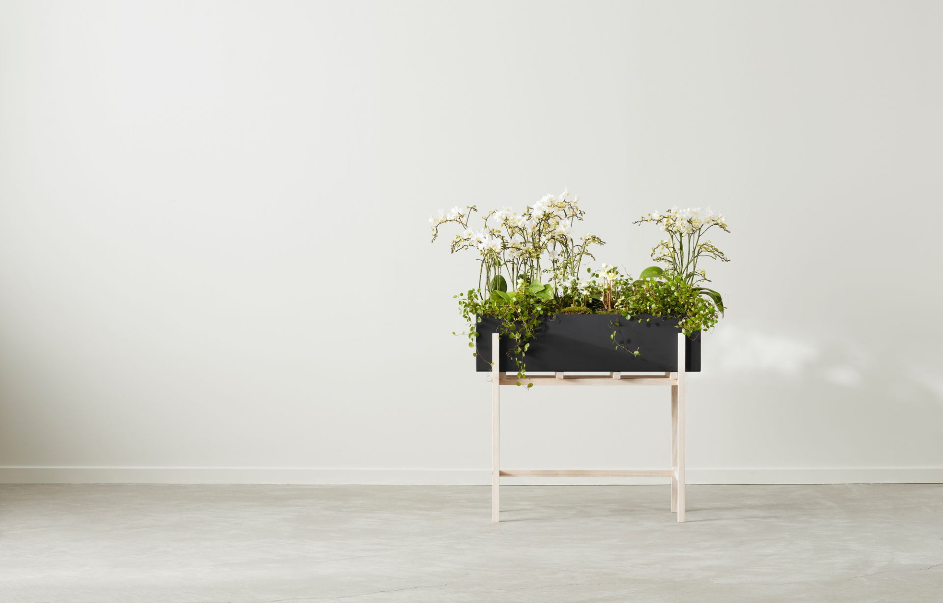 Botanic Flower Stand Blumenkasten von Design House Stockholm mit weißen Orchideen und grünen Pflanzen.