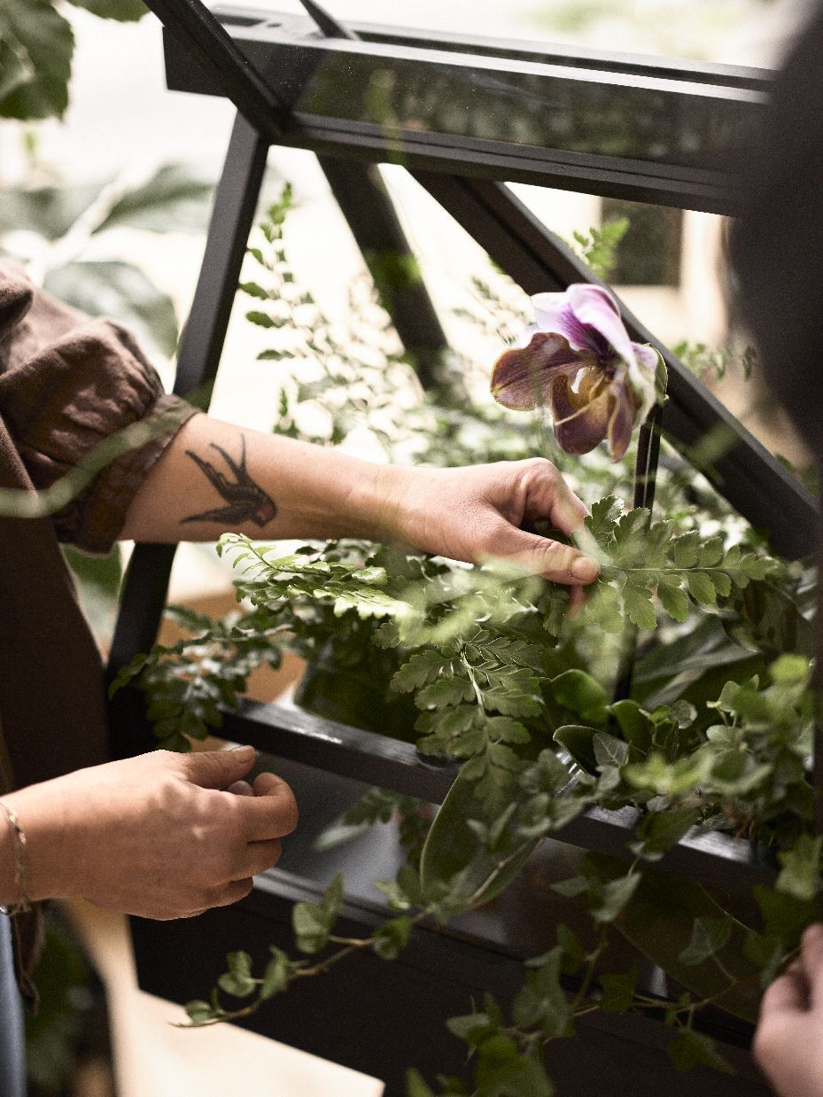 Greenhouse-kas Design House Stockholm donker essenhout