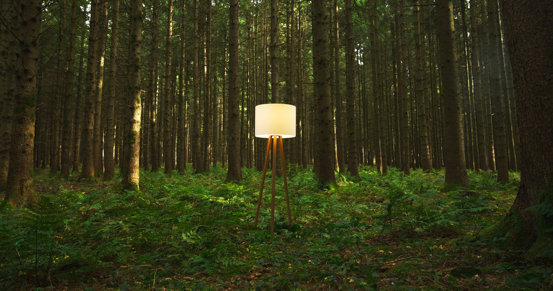 Luca Stand Stehleuchte mit Eichenholz-Gestell und naturweißem Filzschirm im Wald. Moderne Innenbeleuchtung.