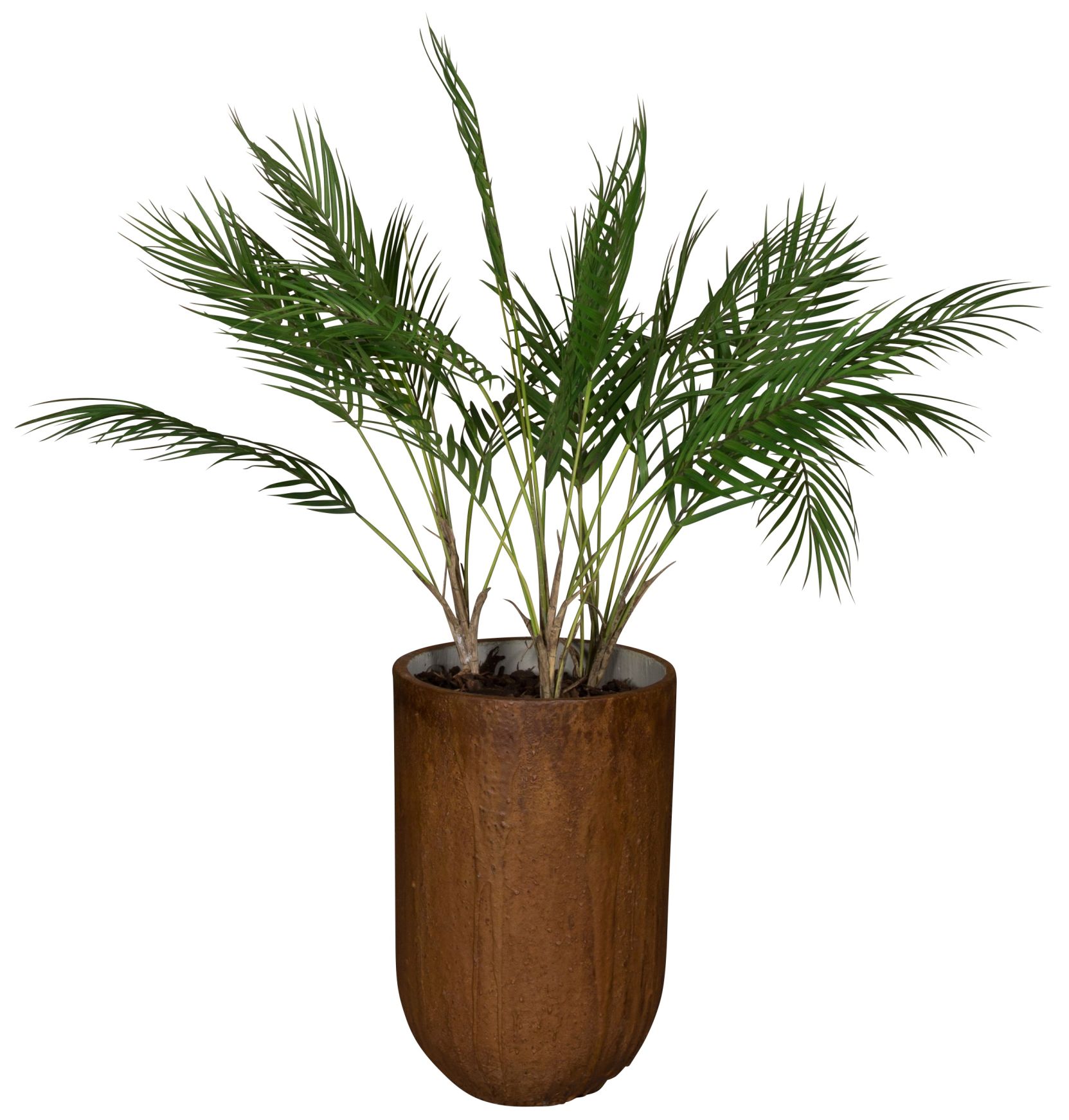 Medewi Palm (palmboom) Kunstplant Tanaman