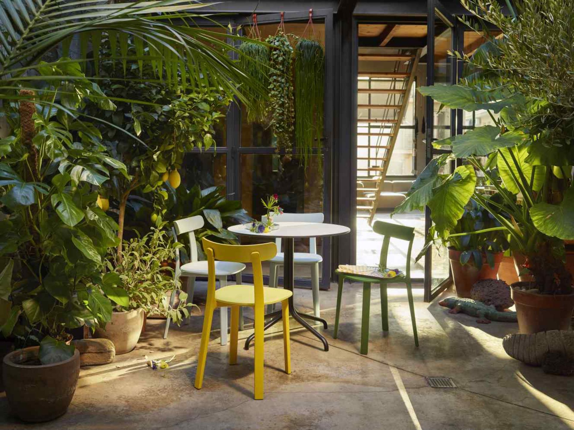 Vitra Belleville Table mit farbigen Stühlen in einem Wintergarten mit Pflanzen und natürlichem Licht.