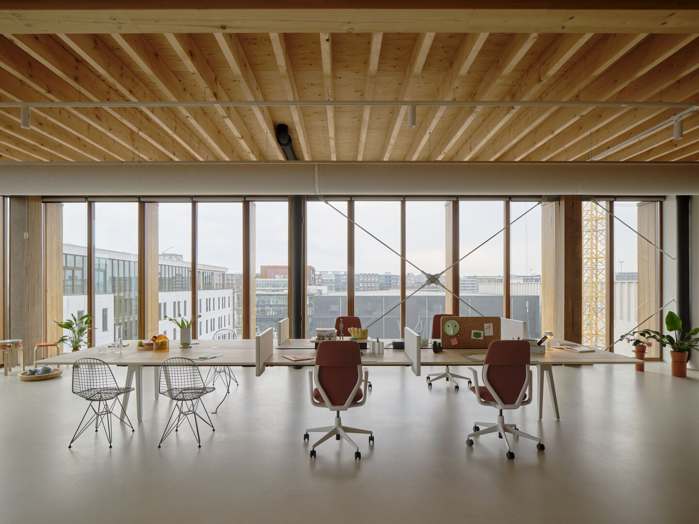 Büro mit DKR Wire Chairs von Vitra, Stühle mit Sitzpolster und Schreibtisch, moderne Büroeinrichtung.
