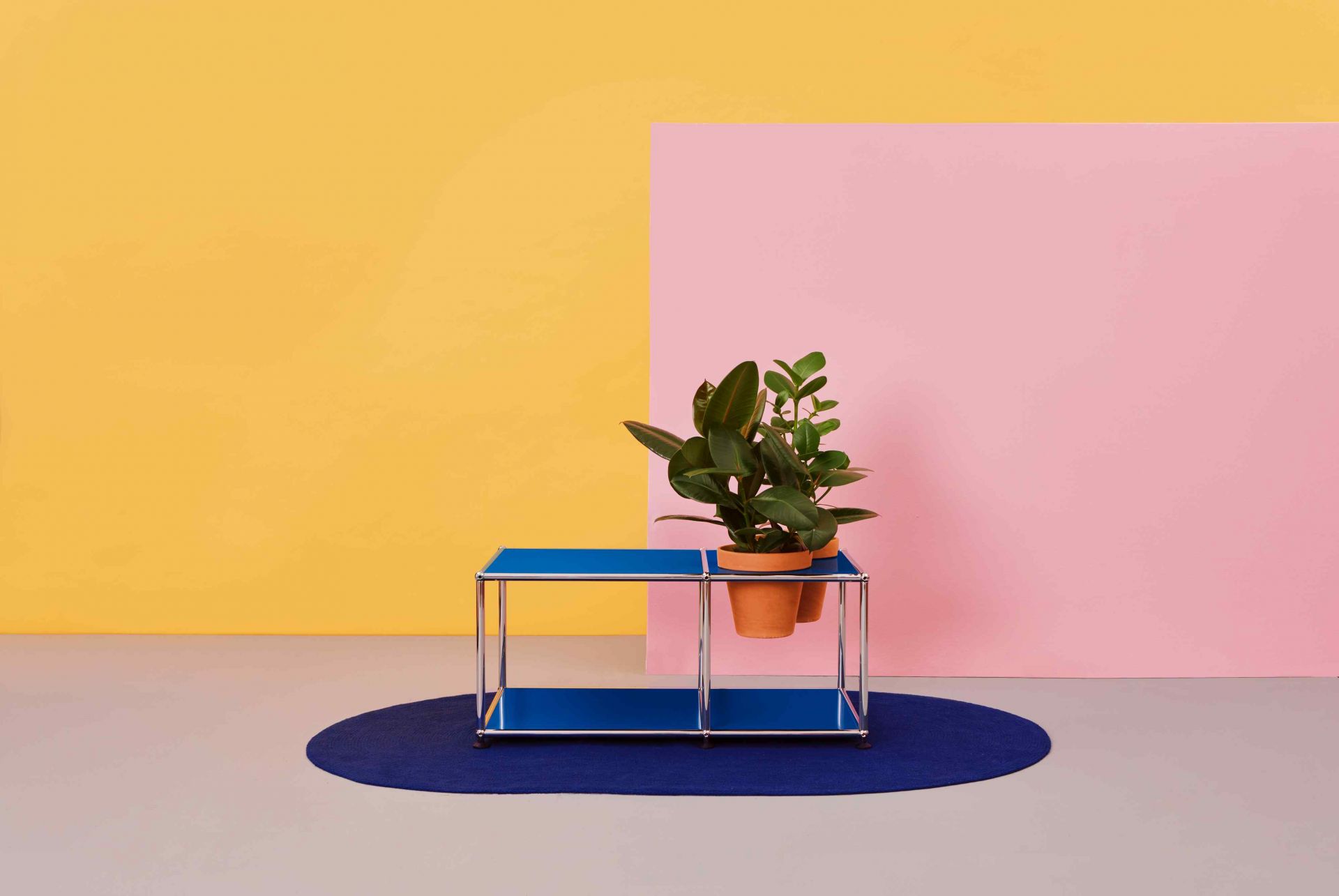 Pflanzenwelten: Blauer USM Haller Beistelltisch mit Zimmerpflanze vor gelbem und pinkem Hintergrund. Moderner Designklassiker.