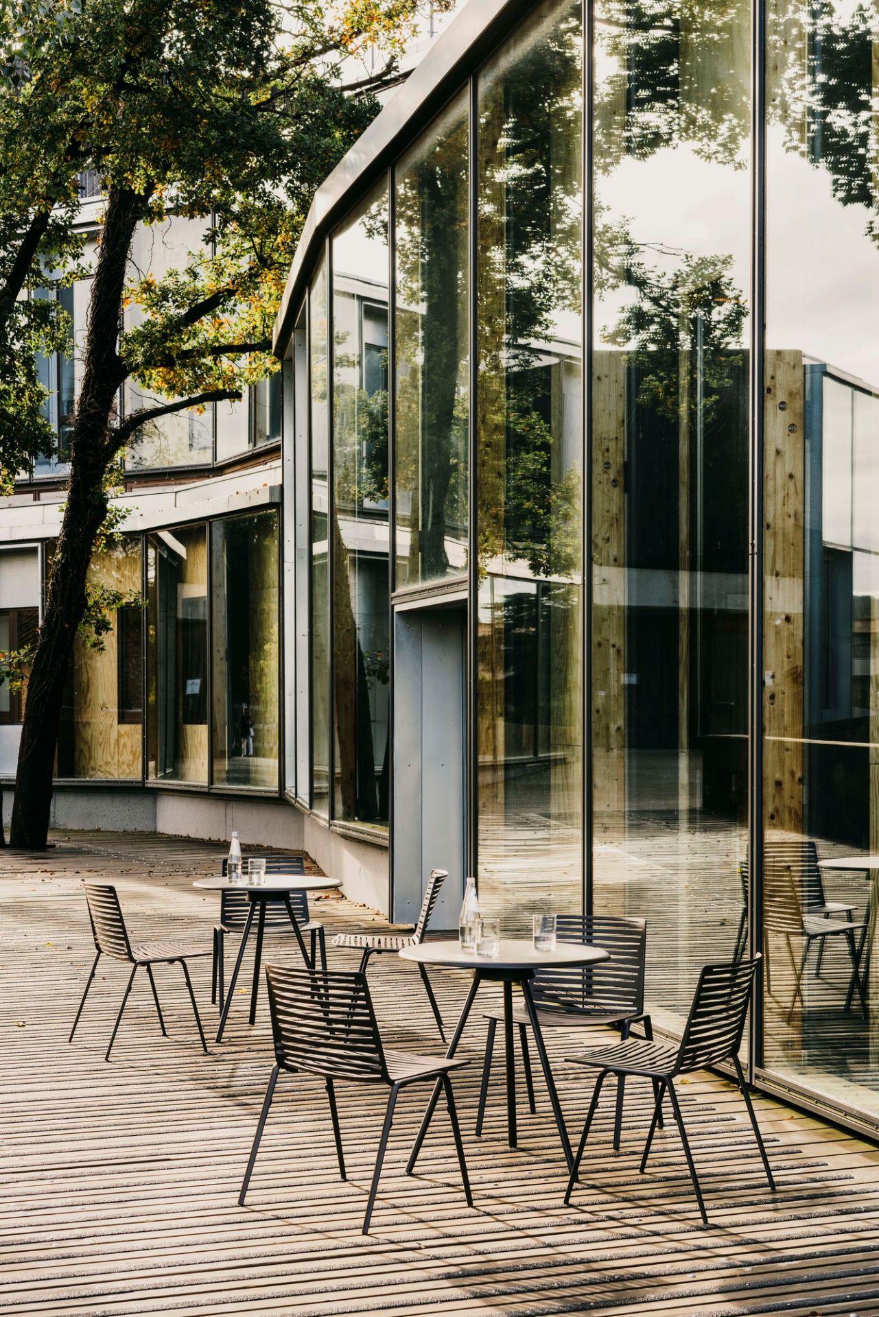 Draufsicht auf Zebra Stühle mit Armlehnen in Cremeweiß, modernes Outdoor-Mobiliar für Terrasse und Garten.