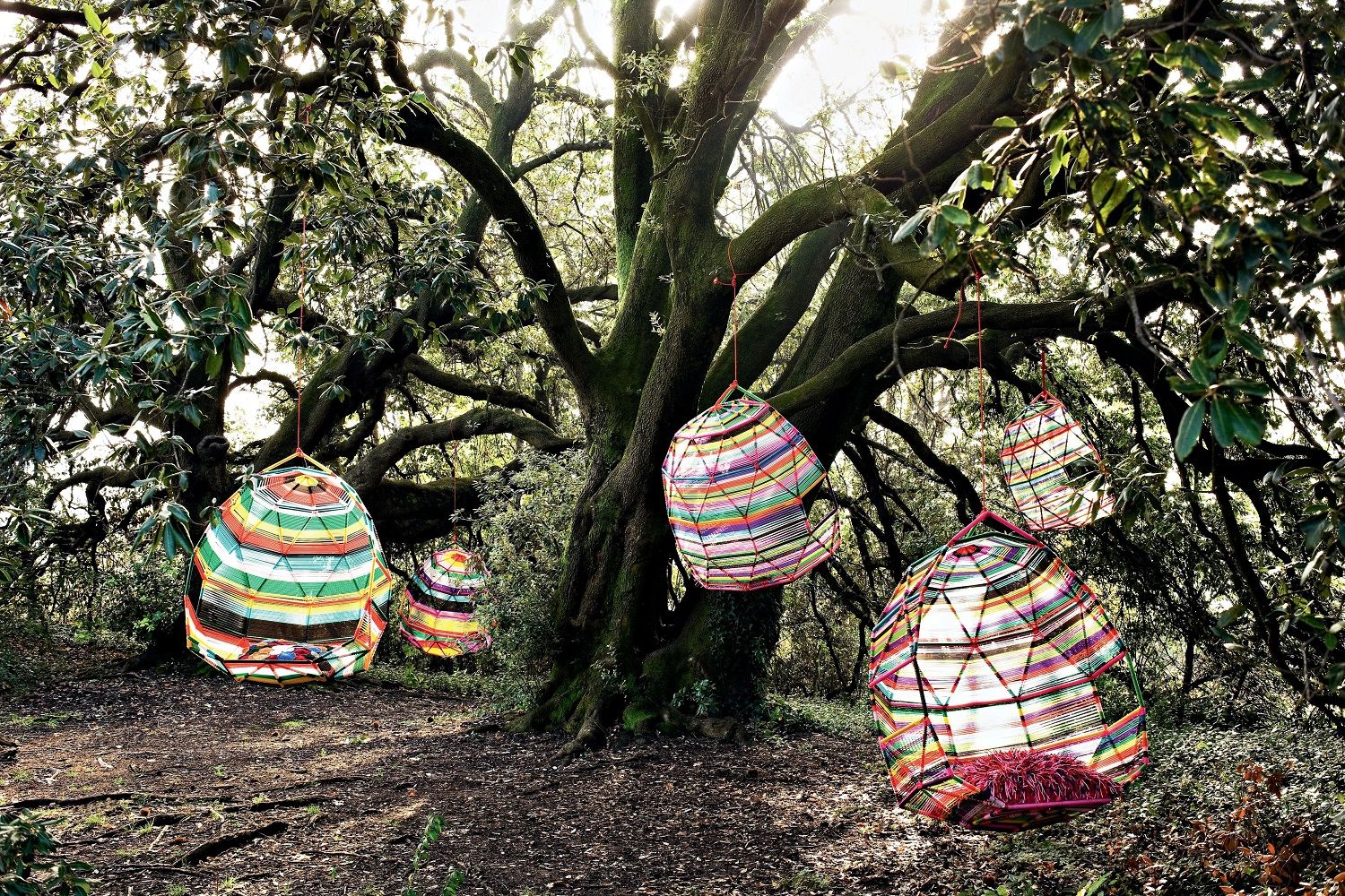 Mehrere bunte Hängesessel im Boho-Stil hängen an einem Baum im Wald, Outdoor-Möbel.