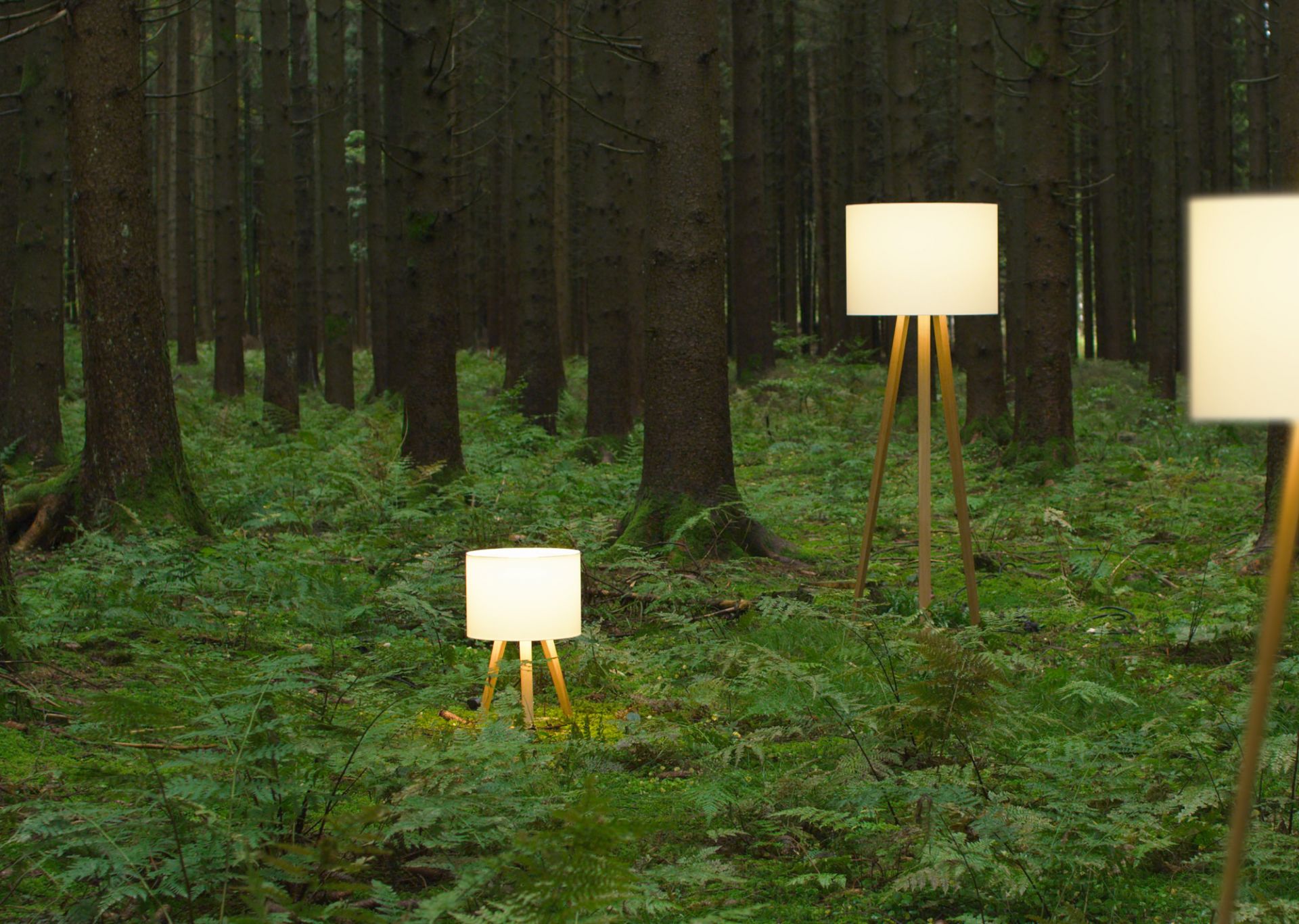 Luca Stand Stehleuchte von Maigrau im Wald, moderne Stehlampen mit Holzfuß und Stoffschirm, Wohnraumbeleuchtung.