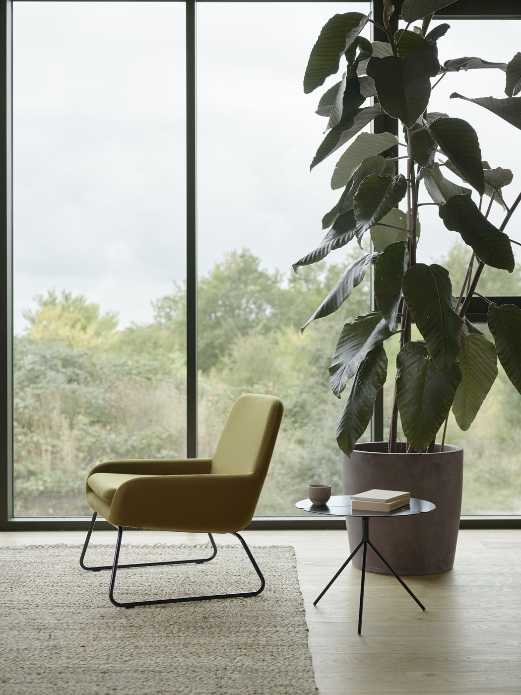 COCO Chair fauteuil Softline