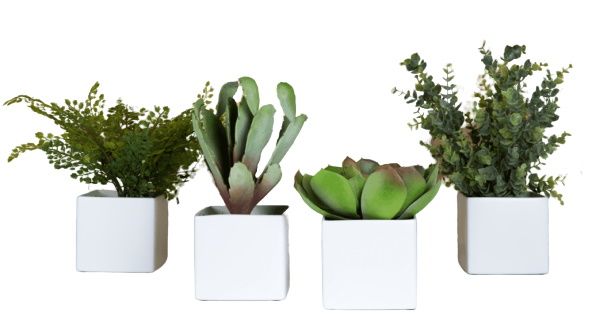Phoenix Succulenten Vierkante Potten, set van 4, wit (vierkante potten) Kunstplant Tanaman     