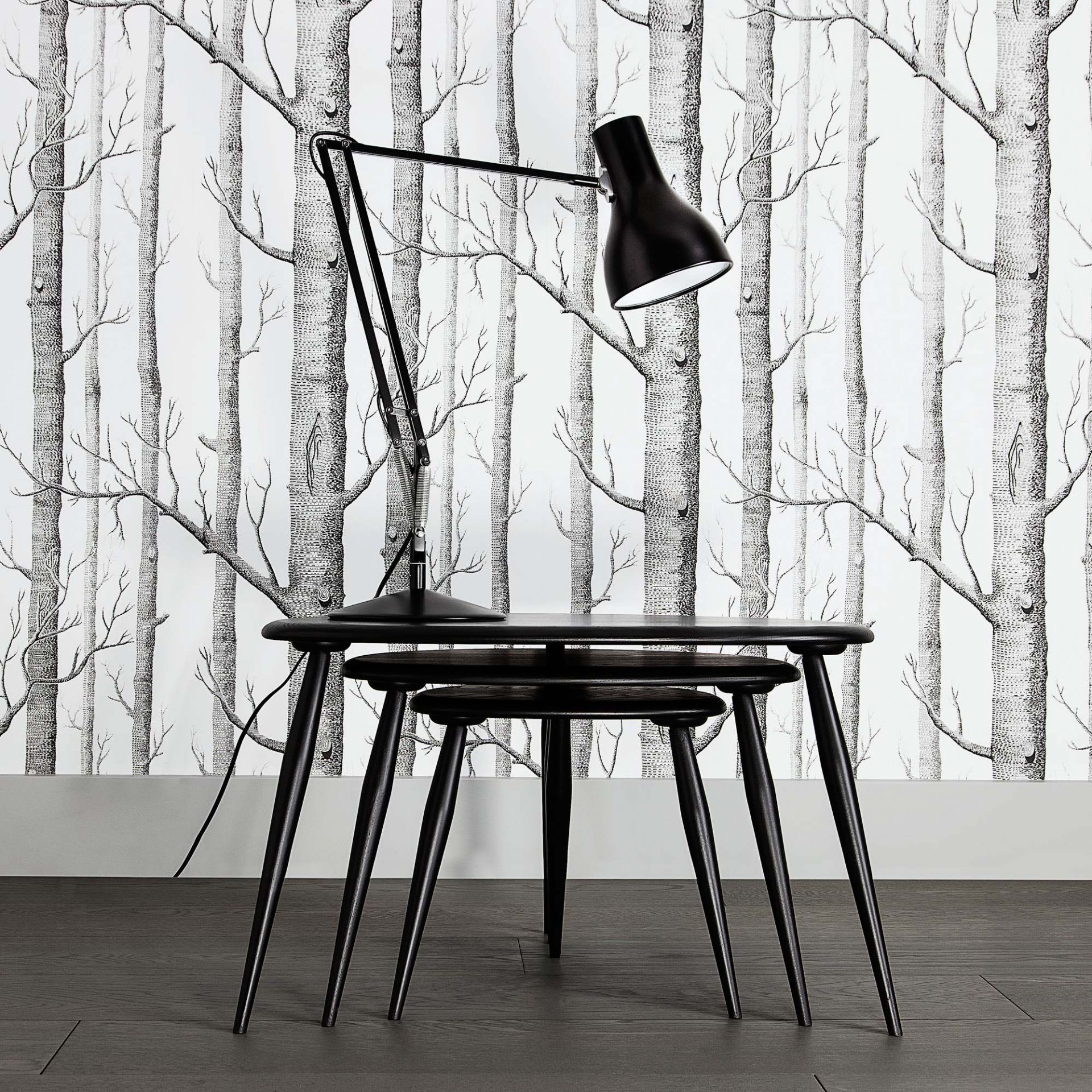 Schwarze Anglepoise Type 75 Tischleuchte auf einem schwarzen Tisch vor einer Tapete mit Birkenwaldmuster.