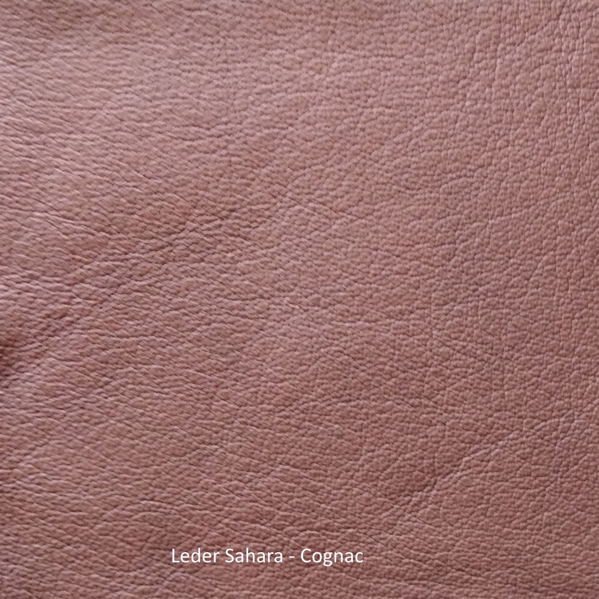 Nahaufnahme der Ledermusterkarte Sahara von Freifrau Manufaktur in Cognac, hochwertiges Möbelleder.