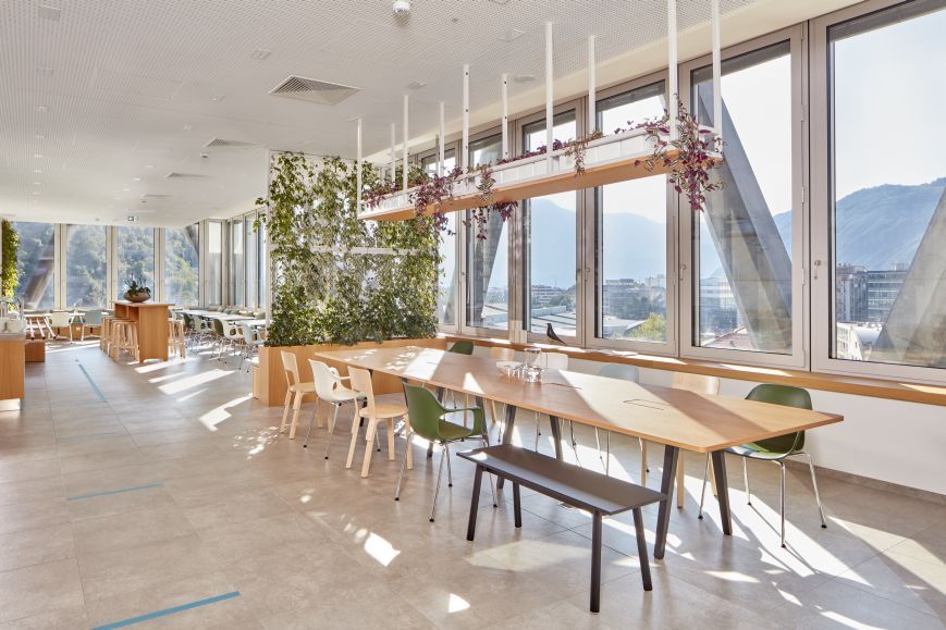 Heller Raum mit langem Tisch und Vitra Hal Armchair Stühlen in verschiedenen Farben.