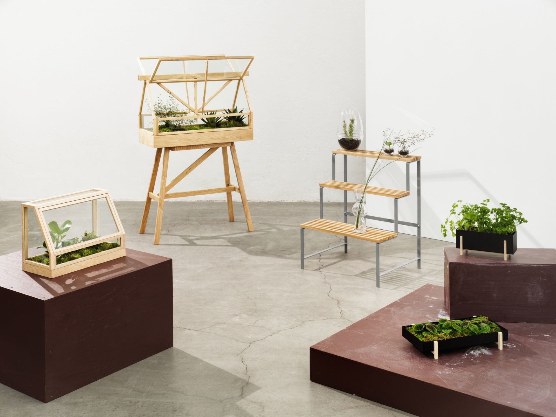 Verschiedene Botanic Kräuter-Boxen von Design House Stockholm, aus Holz und Glas, für Zimmerpflanzen und Kräuter.