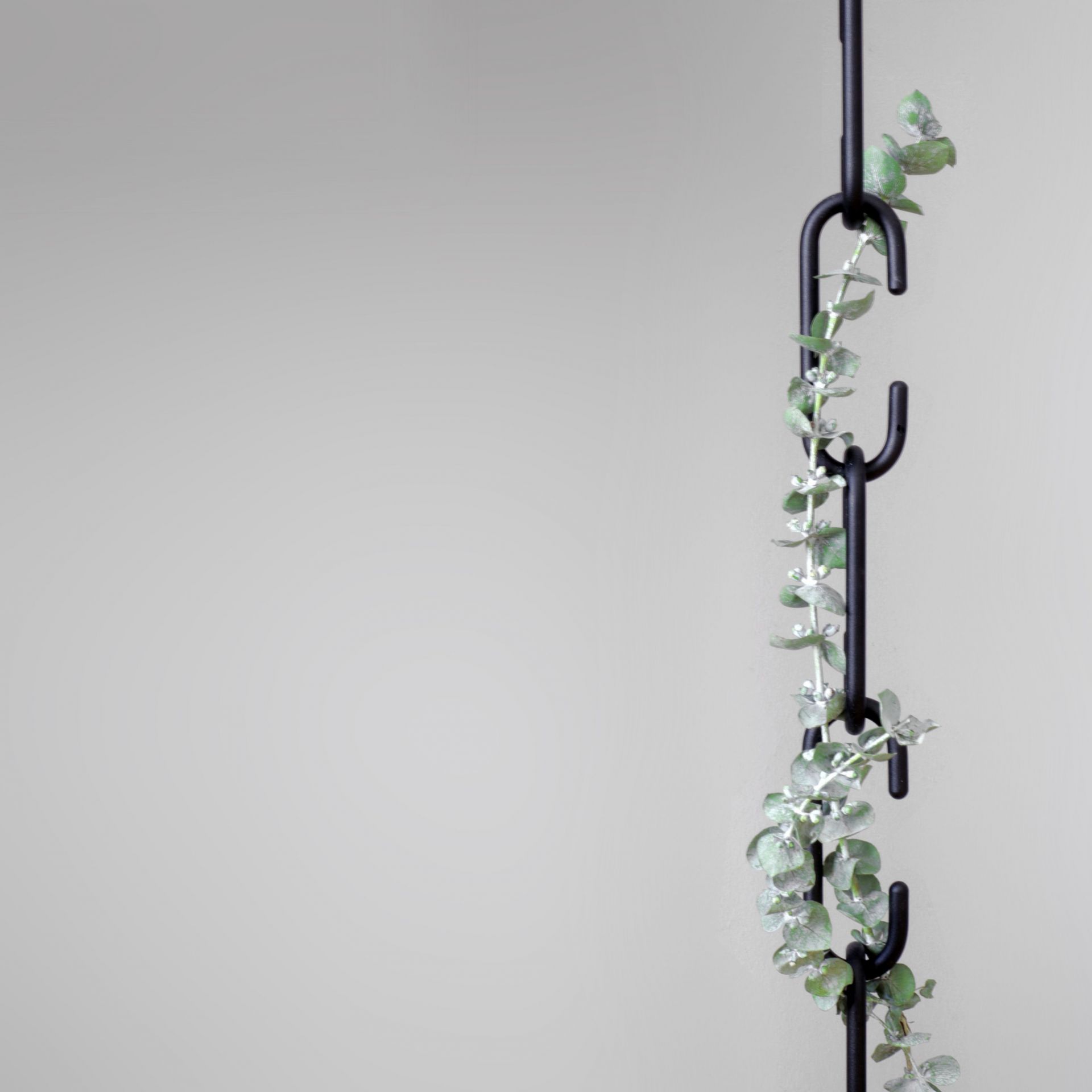 Roomsafari C+C Haken, schwarz, mit Eukalyptus-Girlande an einer Wand. Wandhaken für Garderobe und Dekoration.