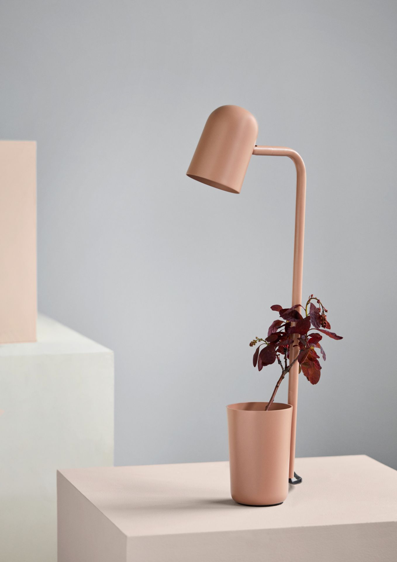 Buddy LED Tischleuchte in Rosa mit Pflanze, moderne Schreibtischlampe für Büro und Zuhause.